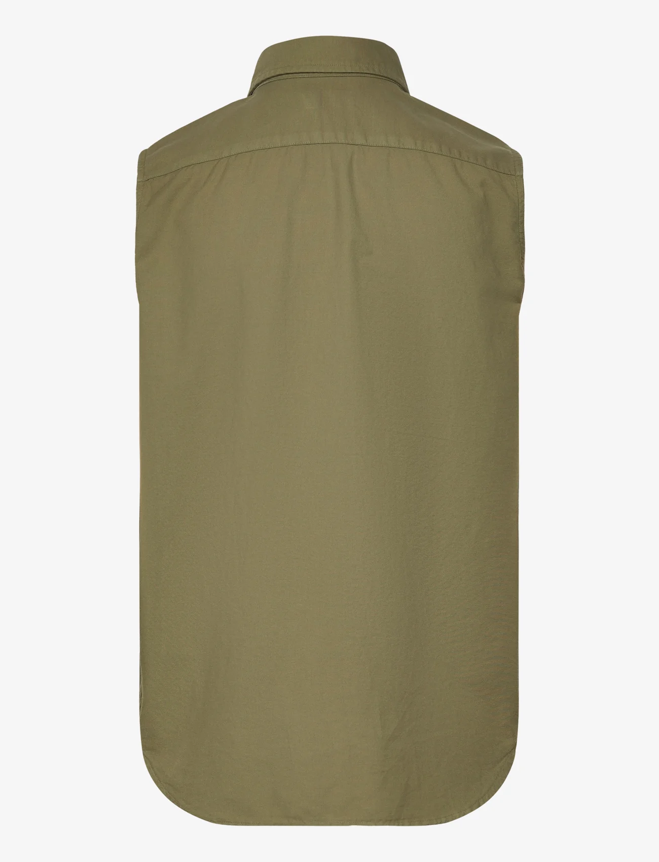 Polo Ralph Lauren - Cotton Oxford Sleeveless Shirt - kortermede skjorter - tree green - 1