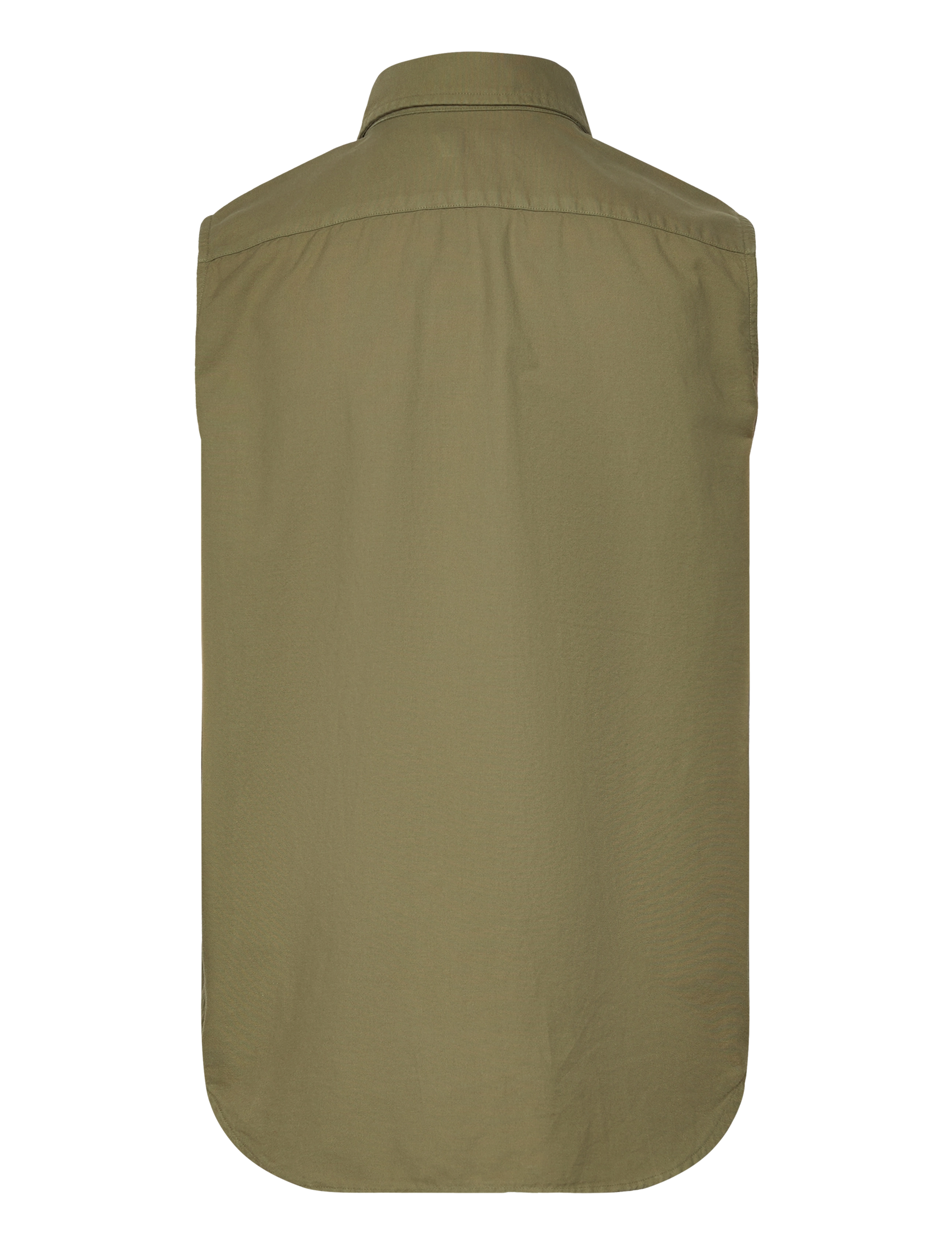 Polo Ralph Lauren - Cotton Oxford Sleeveless Shirt - tree green - 1