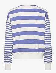 Polo Ralph Lauren - Striped Organic Cotton Terry Sweatshirt - sweatshirts - resort blue/deckw - 1