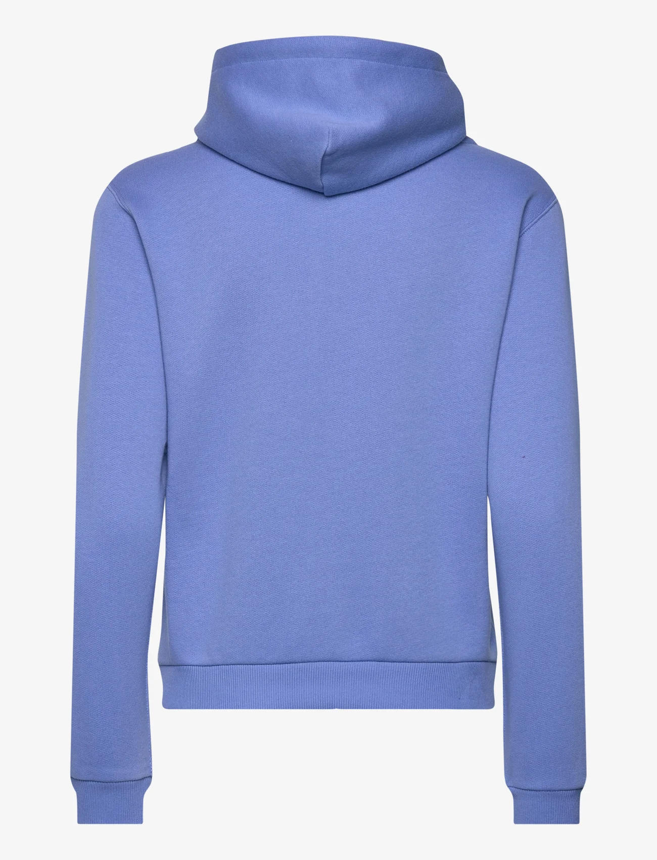 Polo Ralph Lauren - Fleece Full-Zip Hoodie - hoodies - summer blue - 1