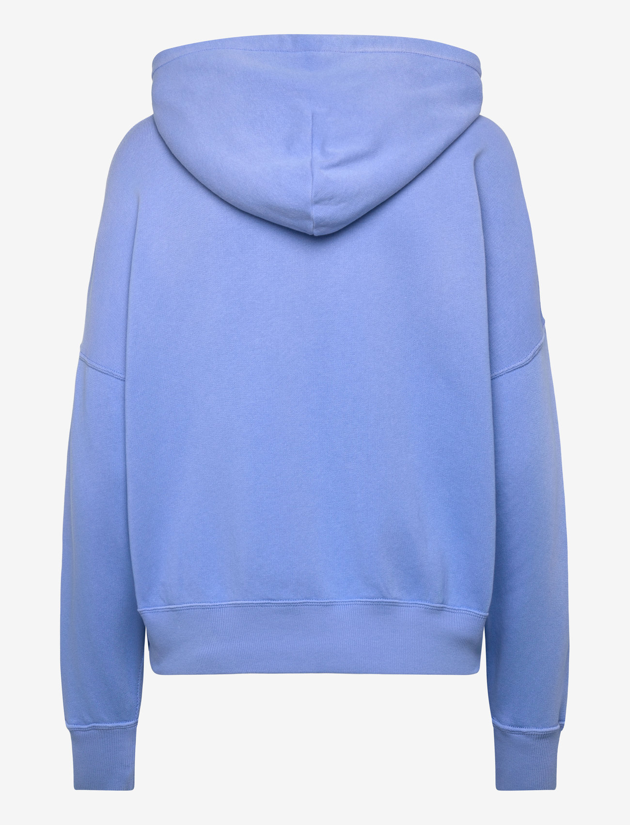 Polo Ralph Lauren - Polo Bear Fleece Hoodie - summer blue - 1