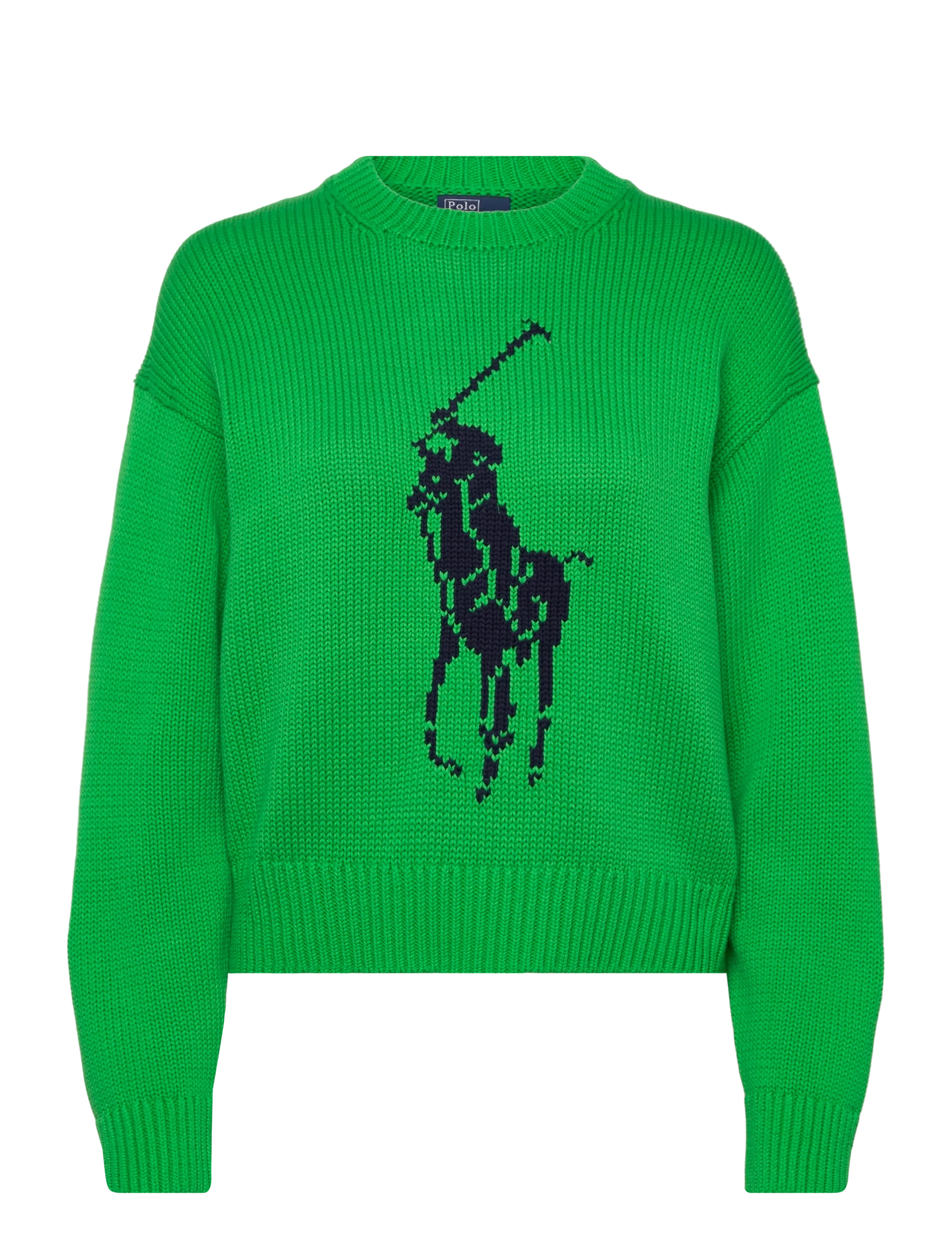 Polo Ralph Lauren 21/2 COTTON-SWEATER-PULLOVER - Neulepuserot - PALM GREEN / green