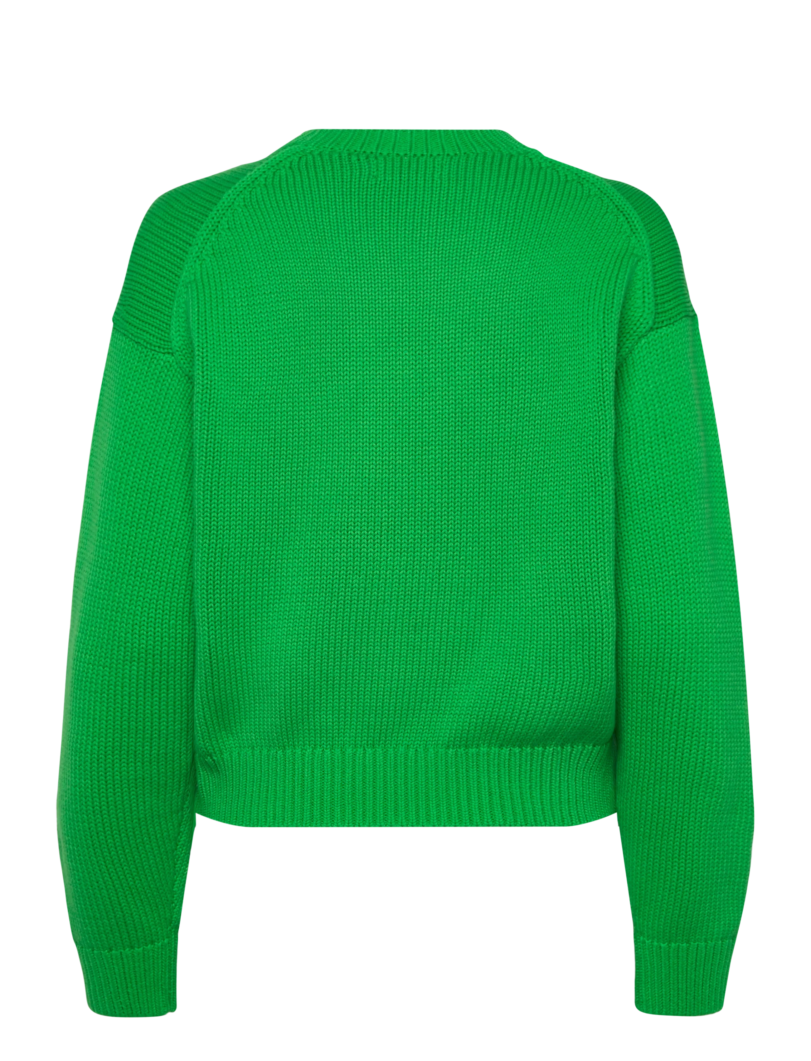 Polo Ralph Lauren - 21/2 COTTON-SWEATER-PULLOVER - striktrøjer - palm green - 1