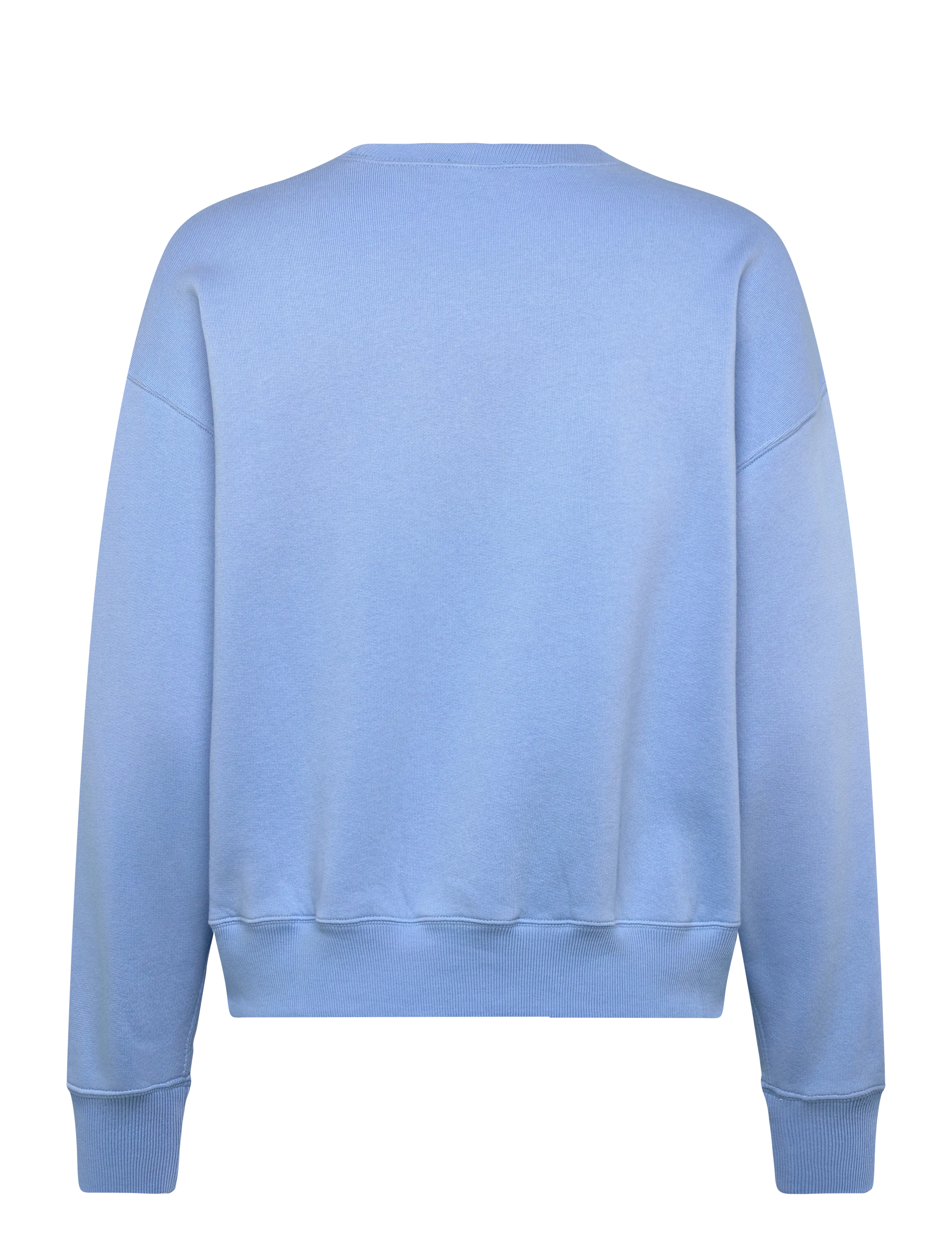 Polo Ralph Lauren - Fleece Crewneck - chatham blue - 2