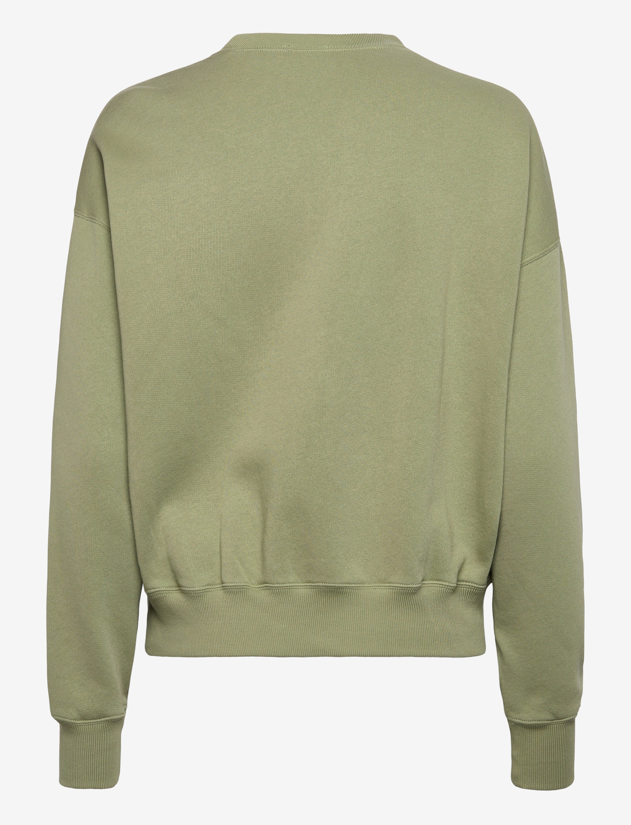 Polo Ralph Lauren - Fleece Crewneck - dressipluusid ja kapuutsiga dressipluusid - lakeview green - 1