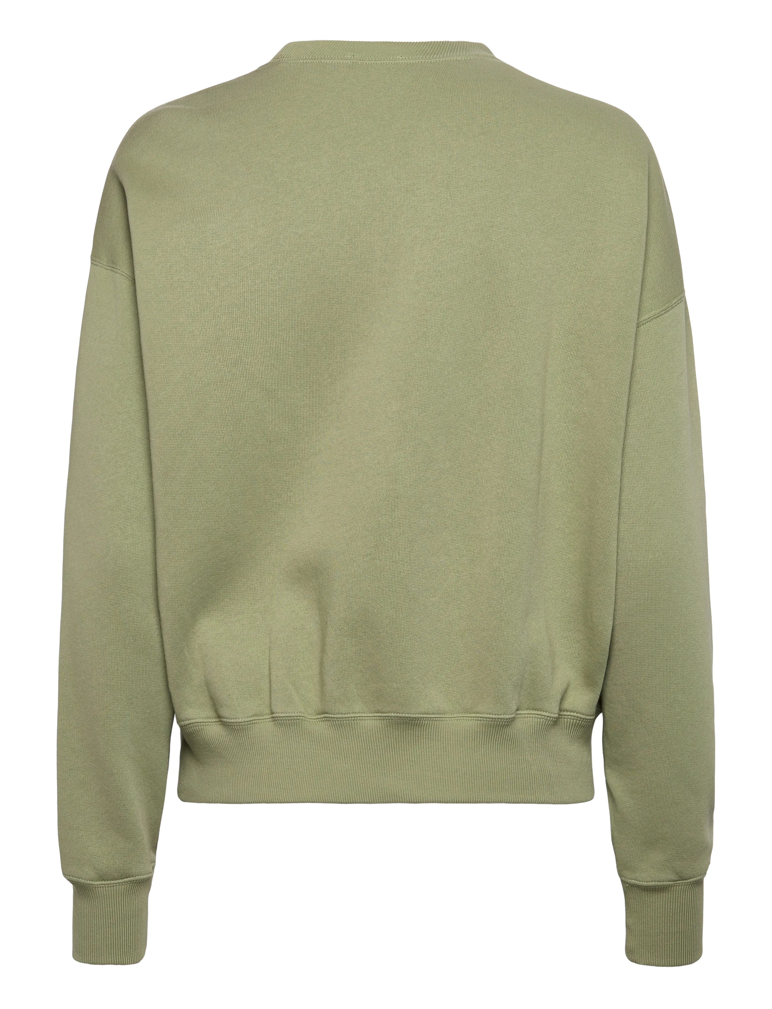 Polo Ralph Lauren - ARCTIC FLEECE-KNT-SWEATSHIRT - lakeview green - 2