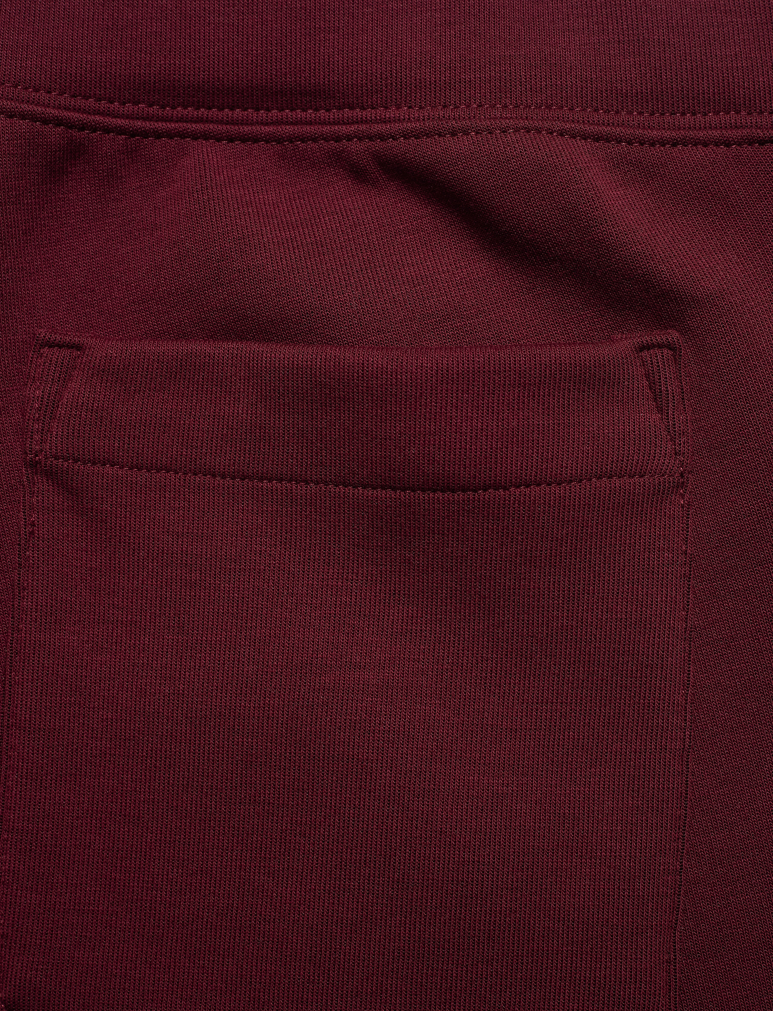 Polo Ralph Lauren - Double-Knit Jogger Pant - classic wine - 5