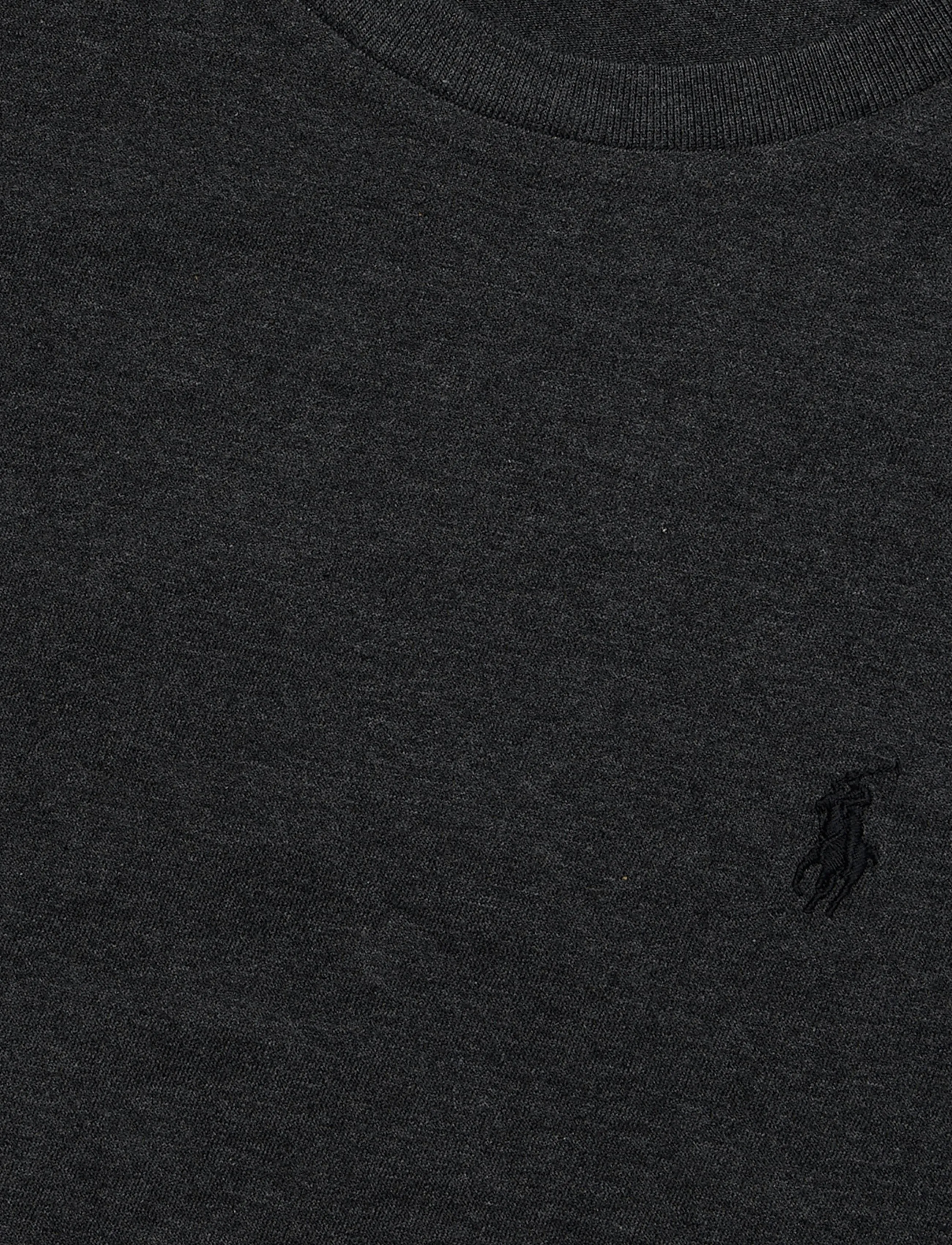 Polo Ralph Lauren - 26/1 JERSEY-LSL-TSH - pikkade varrukatega t-särgid - windsor heather/c - 2