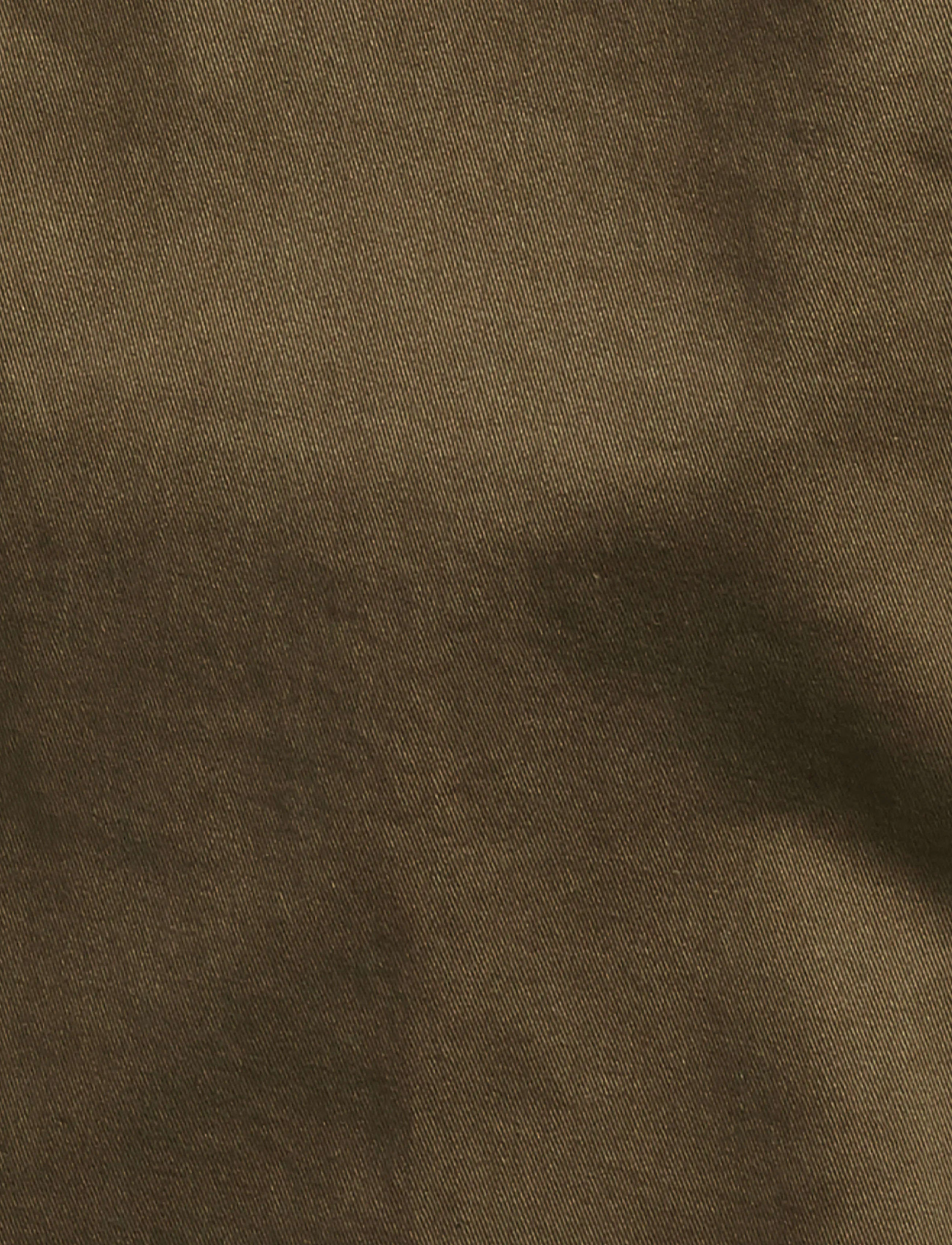 Polo Ralph Lauren - Bedford Stretch Straight Fit Chino Pant - chinos - canopy olive - 5