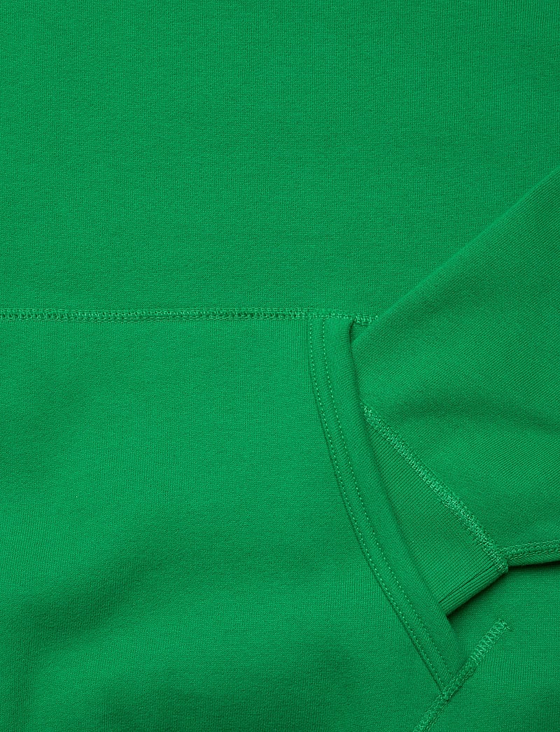 Polo Ralph Lauren - The RL Fleece Hoodie - kapuzenpullover - billiard/c7315 - 3