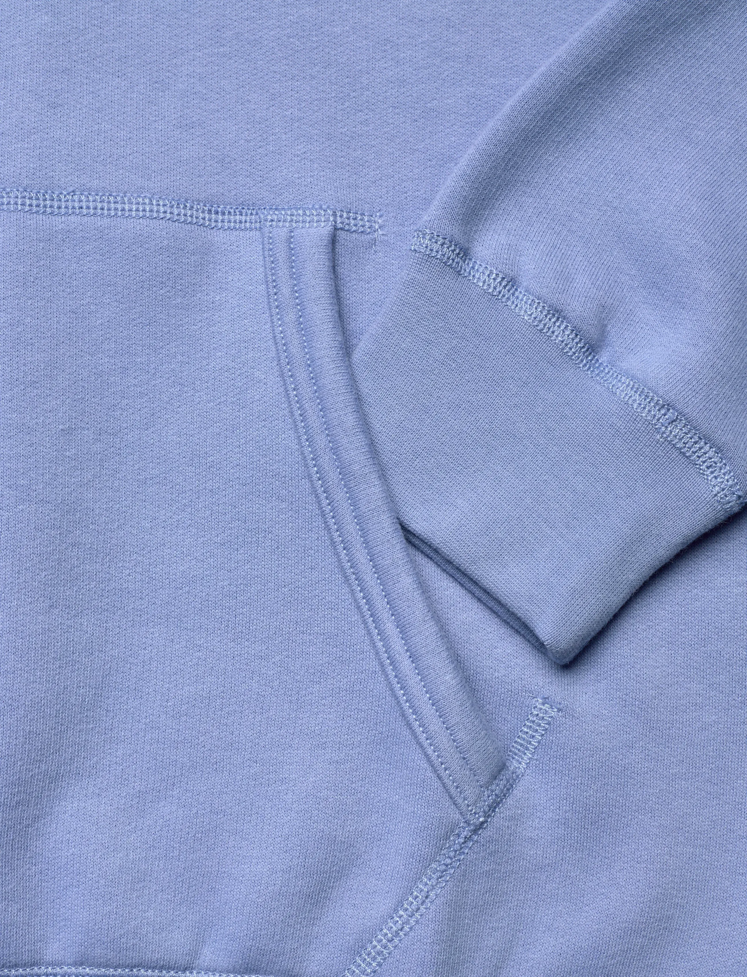 Polo Ralph Lauren - The RL Fleece Hoodie - hættetrøjer - bristol blue - 3