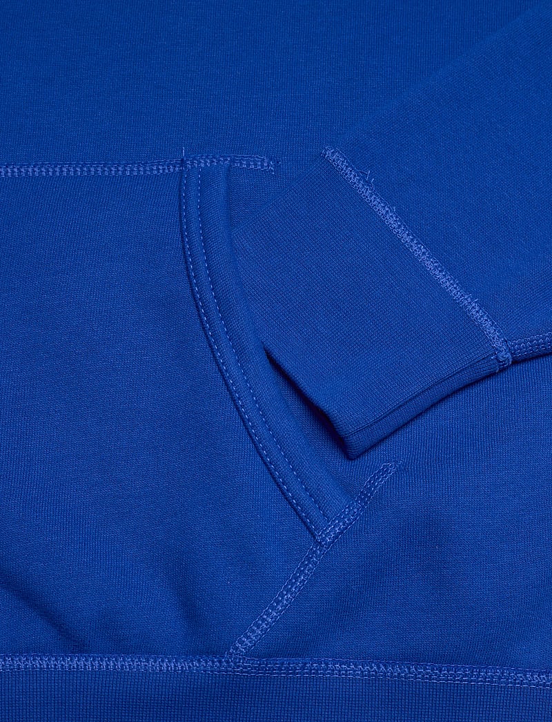 Polo Ralph Lauren - The RL Fleece Hoodie - kapuutsiga dressipluusid - pacific royal/c61 - 3