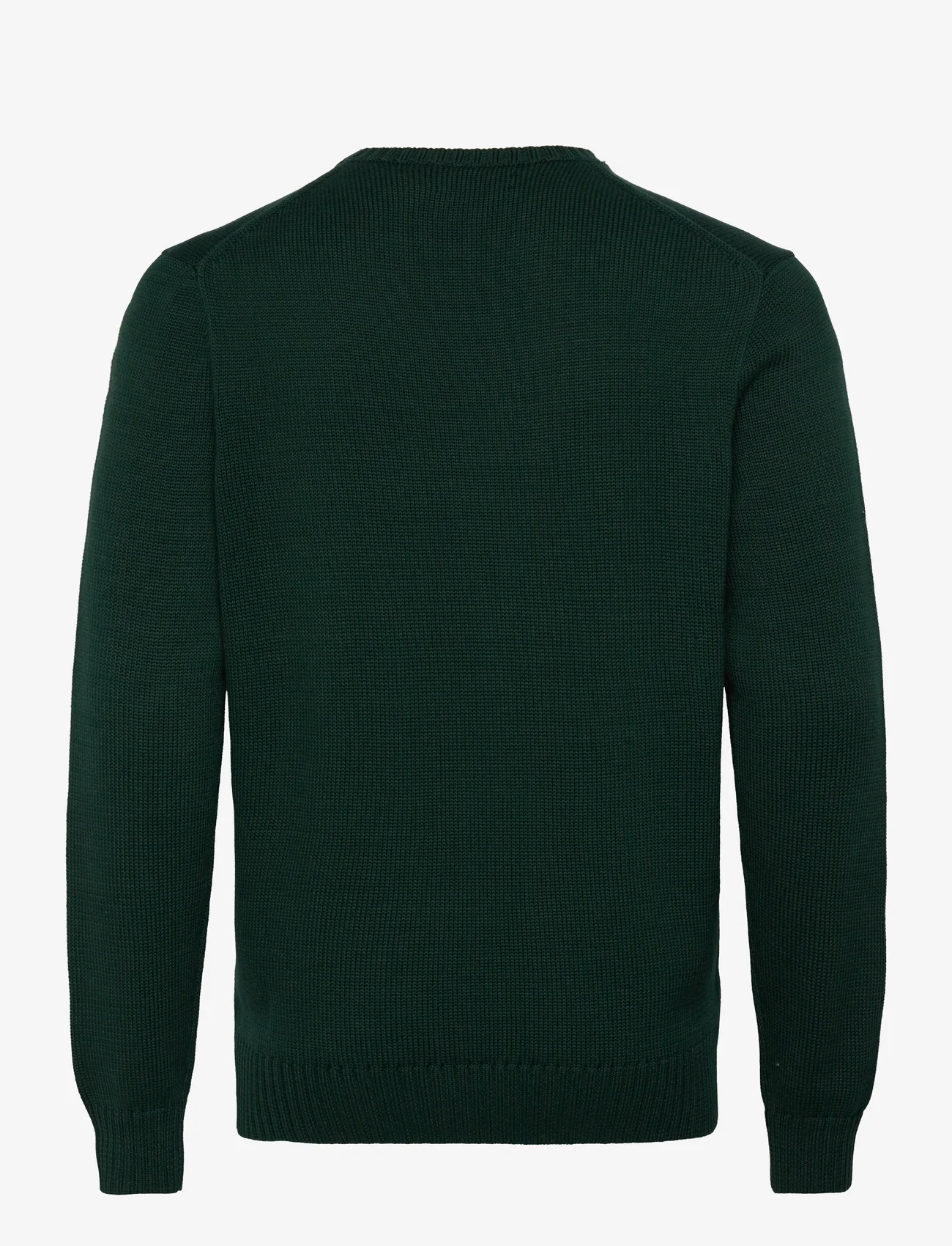 Polo Ralph Lauren - COTTON-LSCNPP7GG - megzti laisvalaikio drabužiai - moss agate - 1