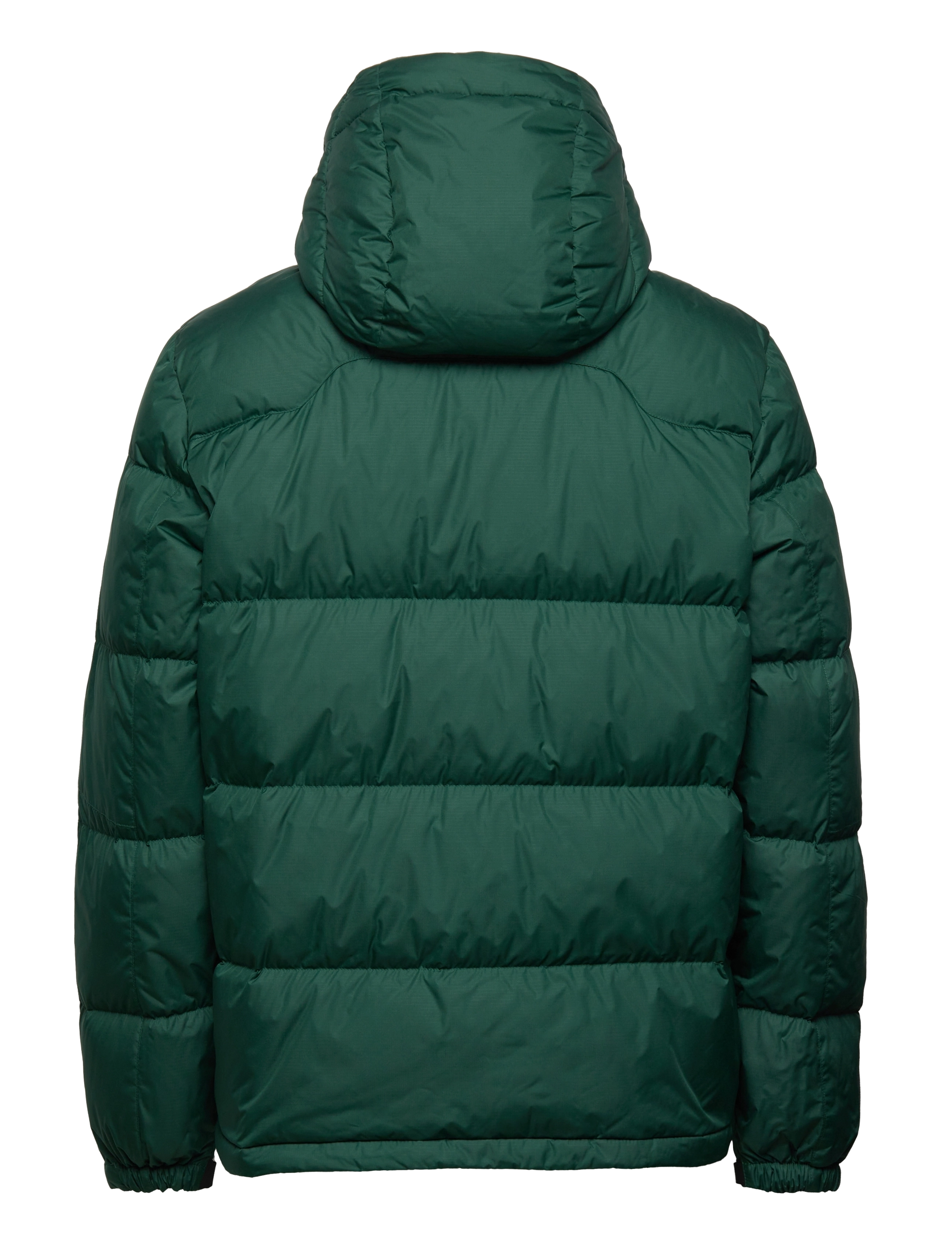 Polo Ralph Lauren - Water-Repellent Down Jacket - college green - 1