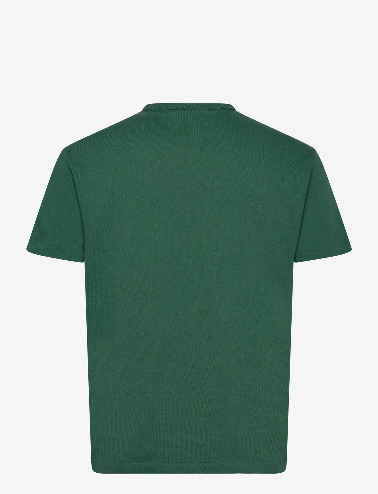 Polo Ralph Lauren - Classic Fit Heavyweight Jersey T-Shirt - kortärmade t-shirts - antique green/c17 - 1