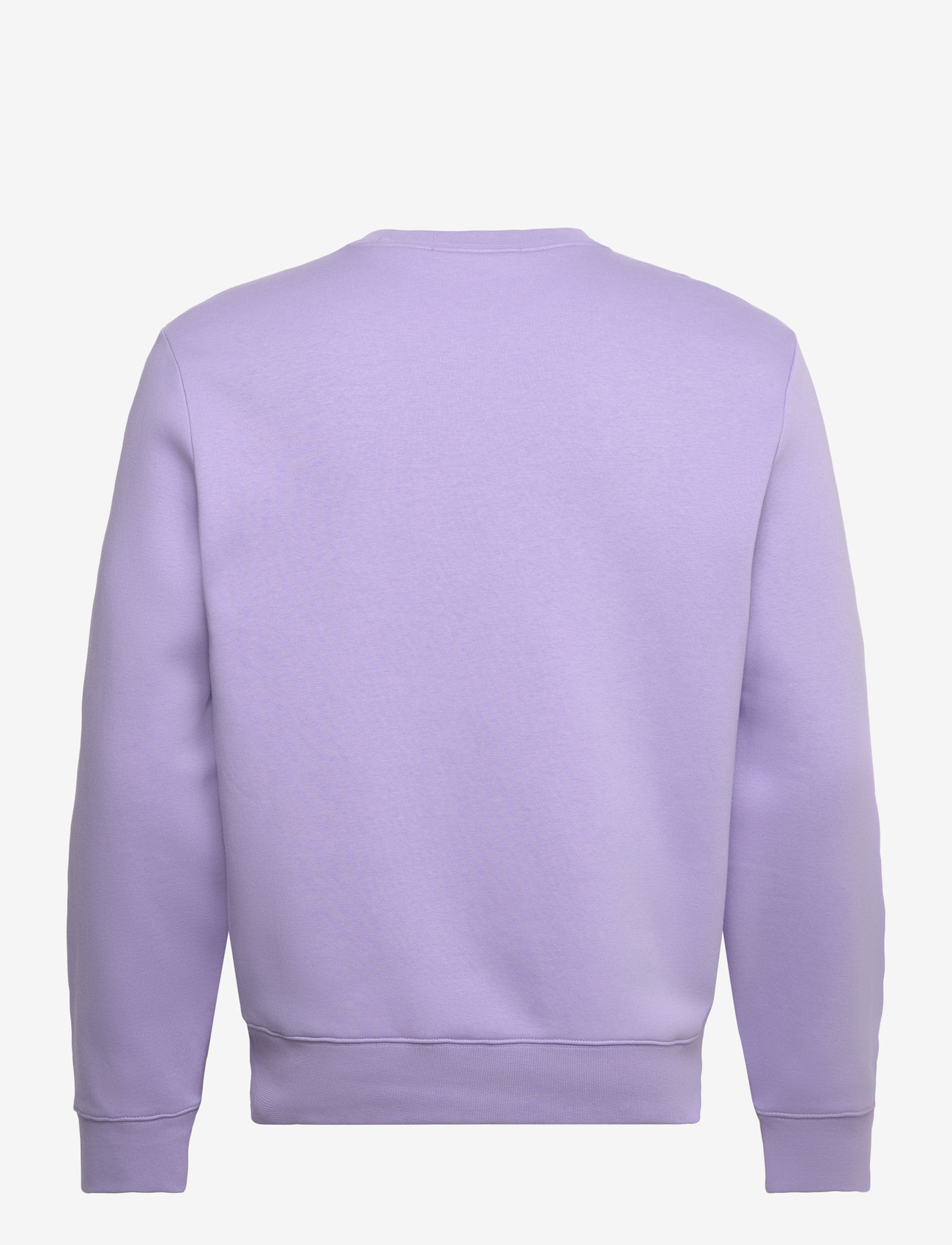Polo Ralph Lauren - Polo Sport Fleece Sweatshirt - nach anlass kaufen - sky lavender/whit - 1