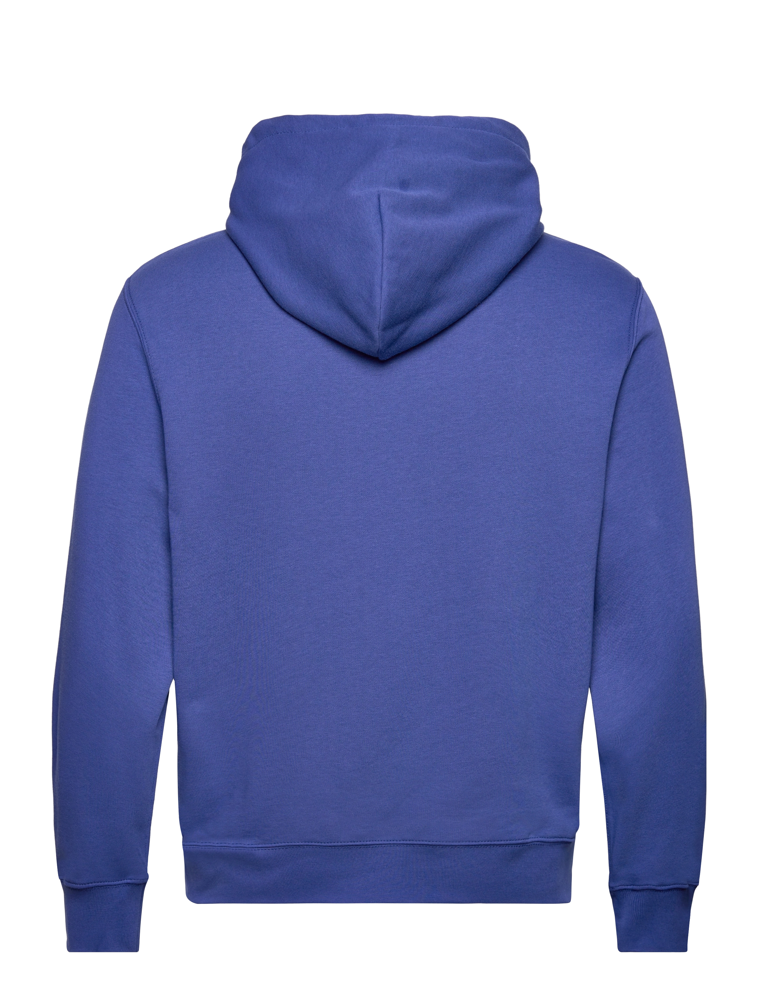 Polo Ralph Lauren - Polo Bear Fleece Hoodie - sp24 beach royal - 1