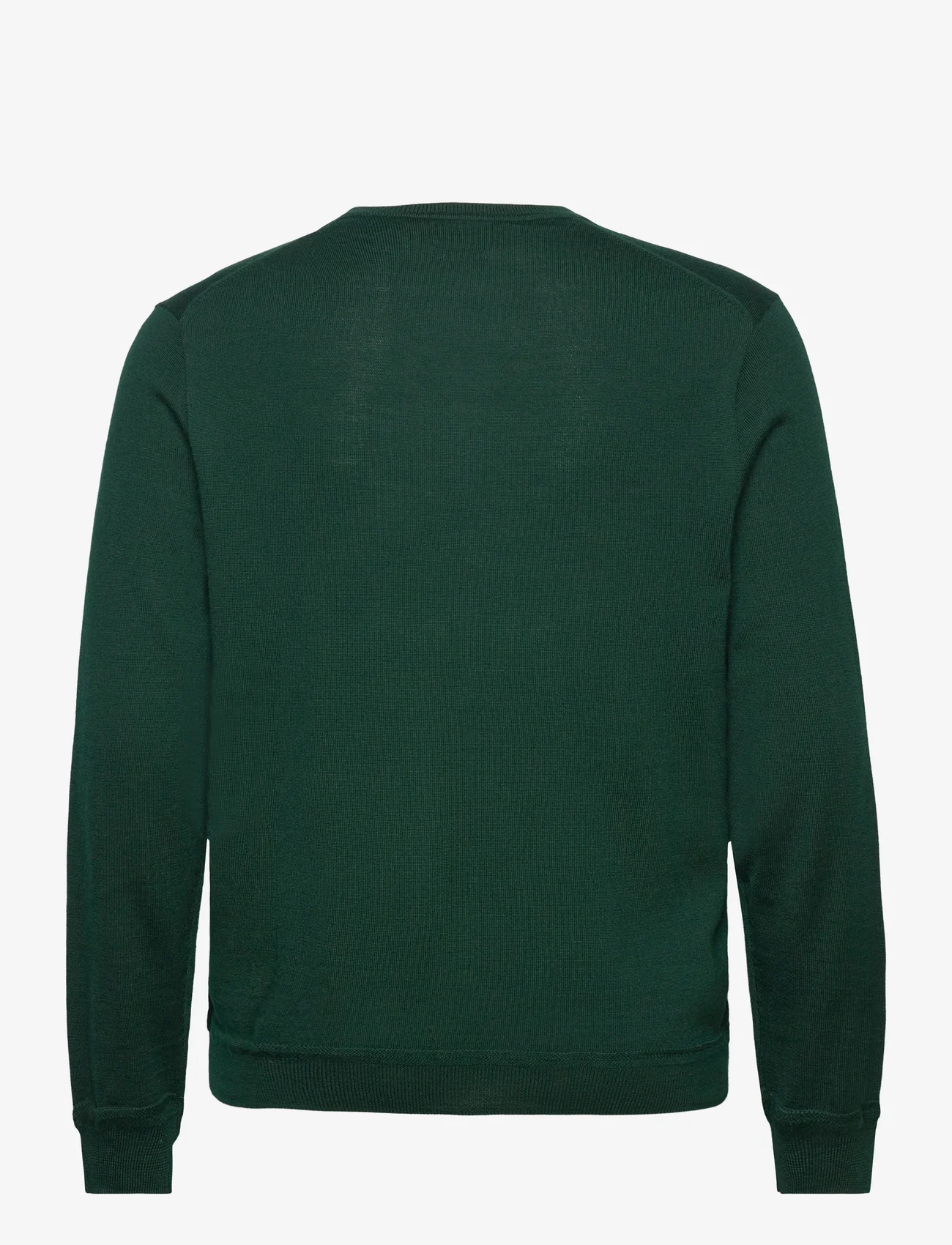 Polo Ralph Lauren - Performance V-Neck Sweater - megztiniai su v formos apykakle - moss agate - 1