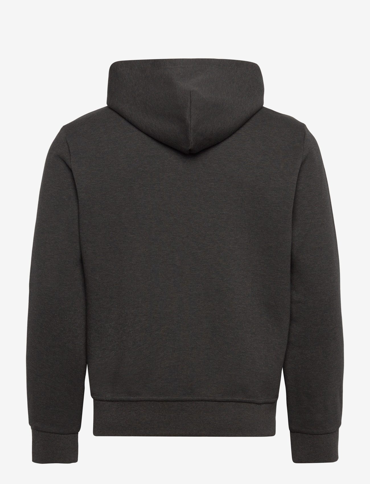 Polo Ralph Lauren - 30/1 DOUBLE KNT CVC-LSL-KNT - hoodies - dark charcoal hea - 1