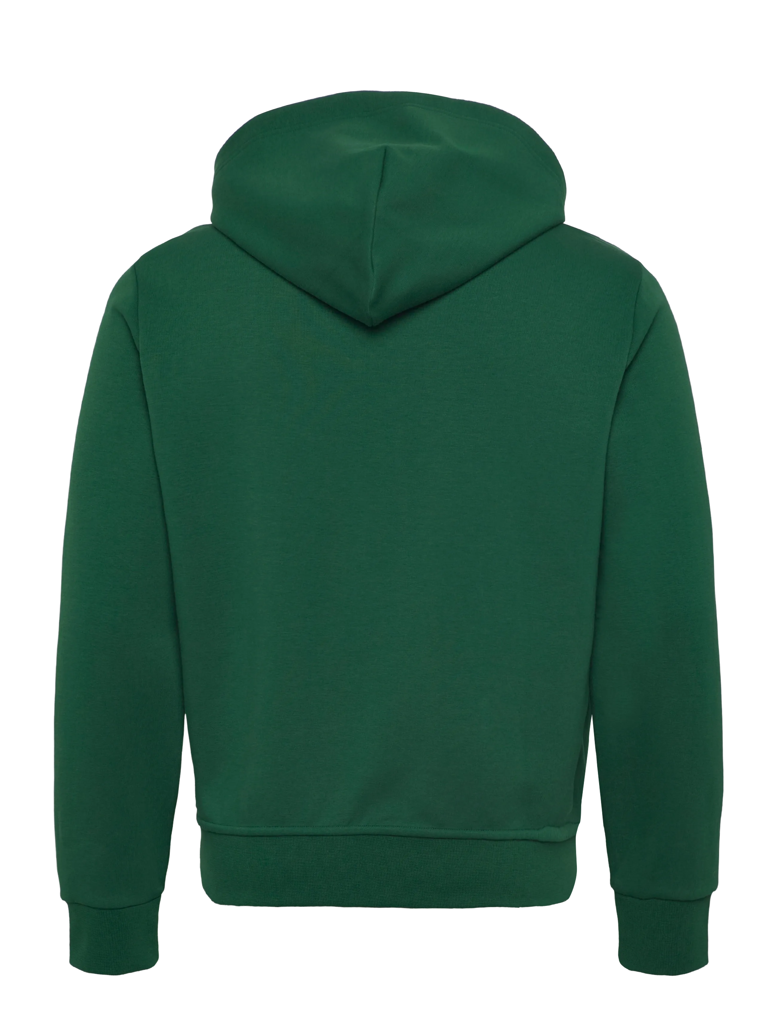 Polo Ralph Lauren - 30/1 DOUBLE KNT CVC-LSL-KNT - kapuutsiga dressipluusid - new forest/c1730 - 1