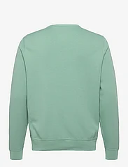 Polo Ralph Lauren - Marled Double-Knit Sweatshirt - dressipluusid - essex green - 1