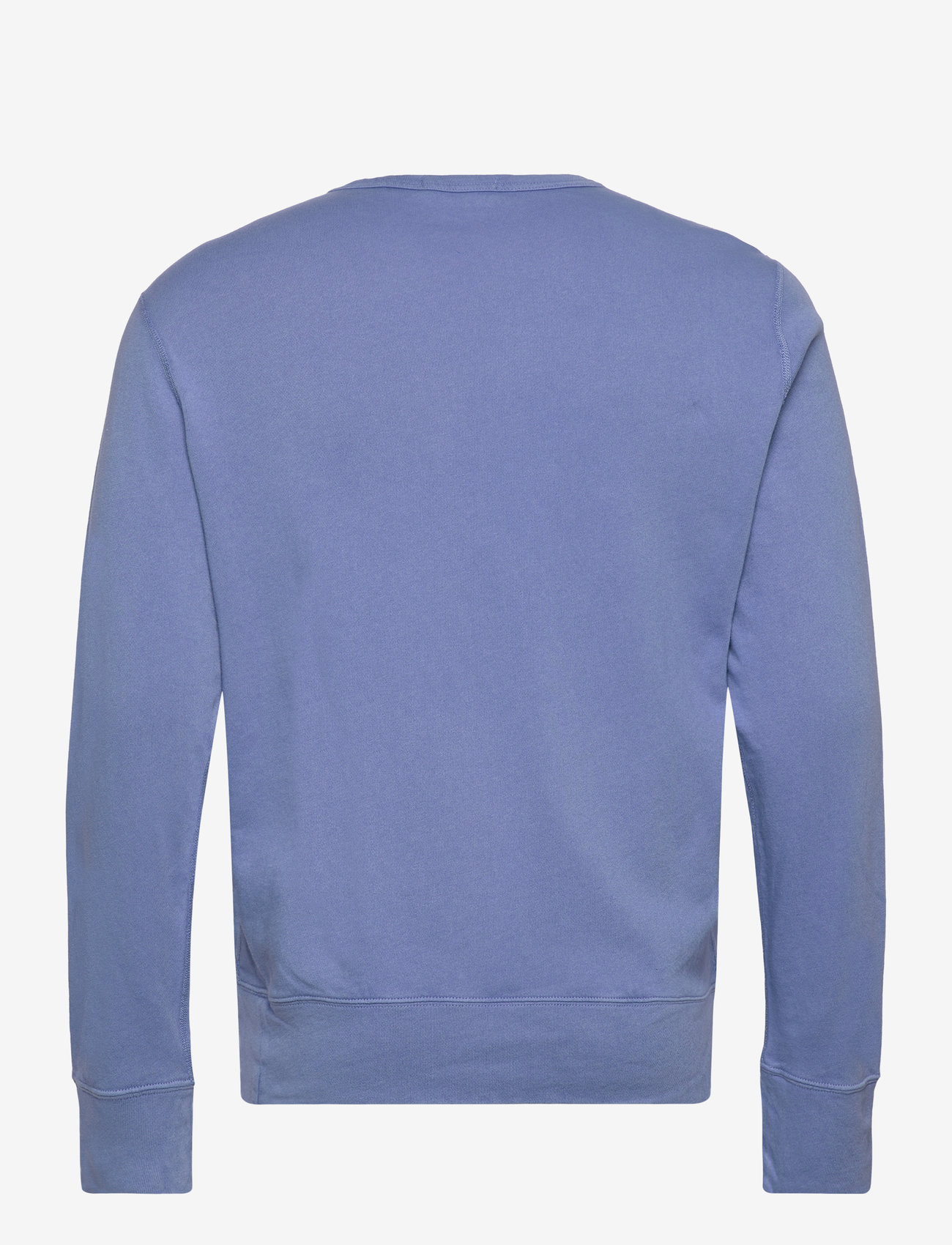 Polo Ralph Lauren - Spa Terry Sweatshirt - sweatshirts - campus blue - 1