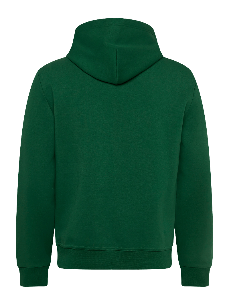 Polo Ralph Lauren - 30/1 DOUBLE KNT CVC-LSL-SWS - sweats à capuche - new forest/c1730 - 1