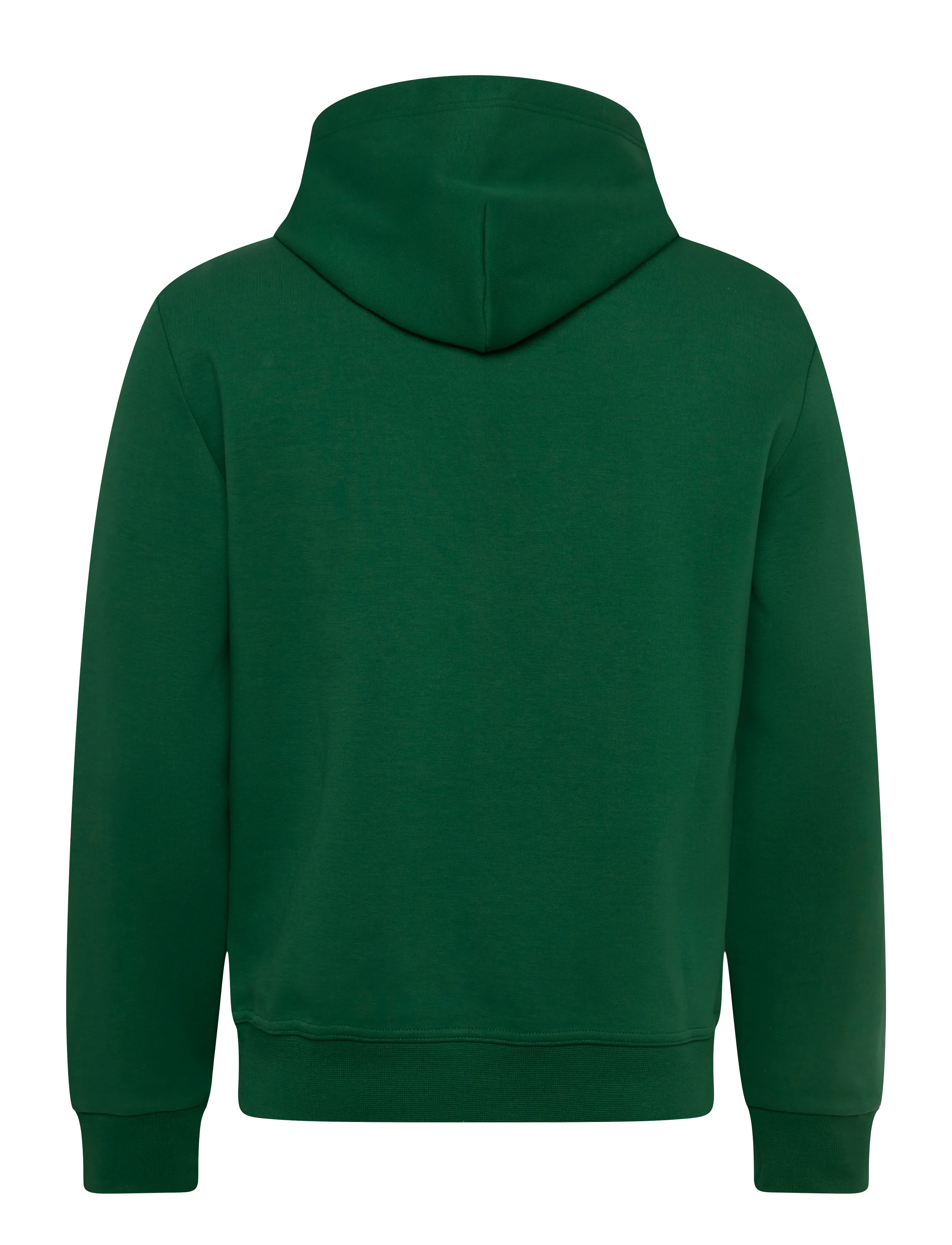 Polo Ralph Lauren - 30/1 DOUBLE KNT CVC-LSL-SWS - kapuzenpullover - new forest/c1730 - 1