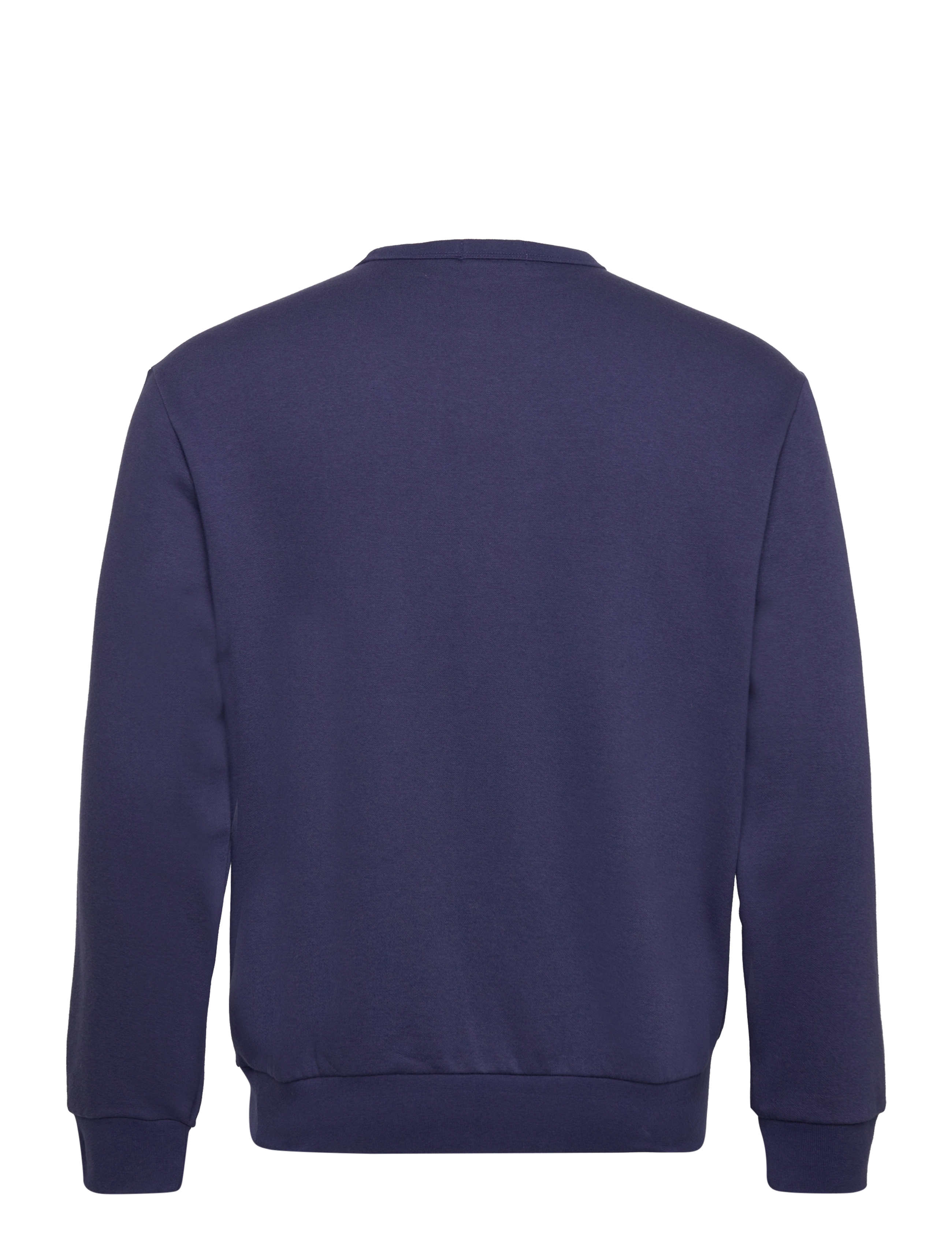 Polo Ralph Lauren - GRAPHIC FLEECE-LSL-SWS - boathouse navy - 1