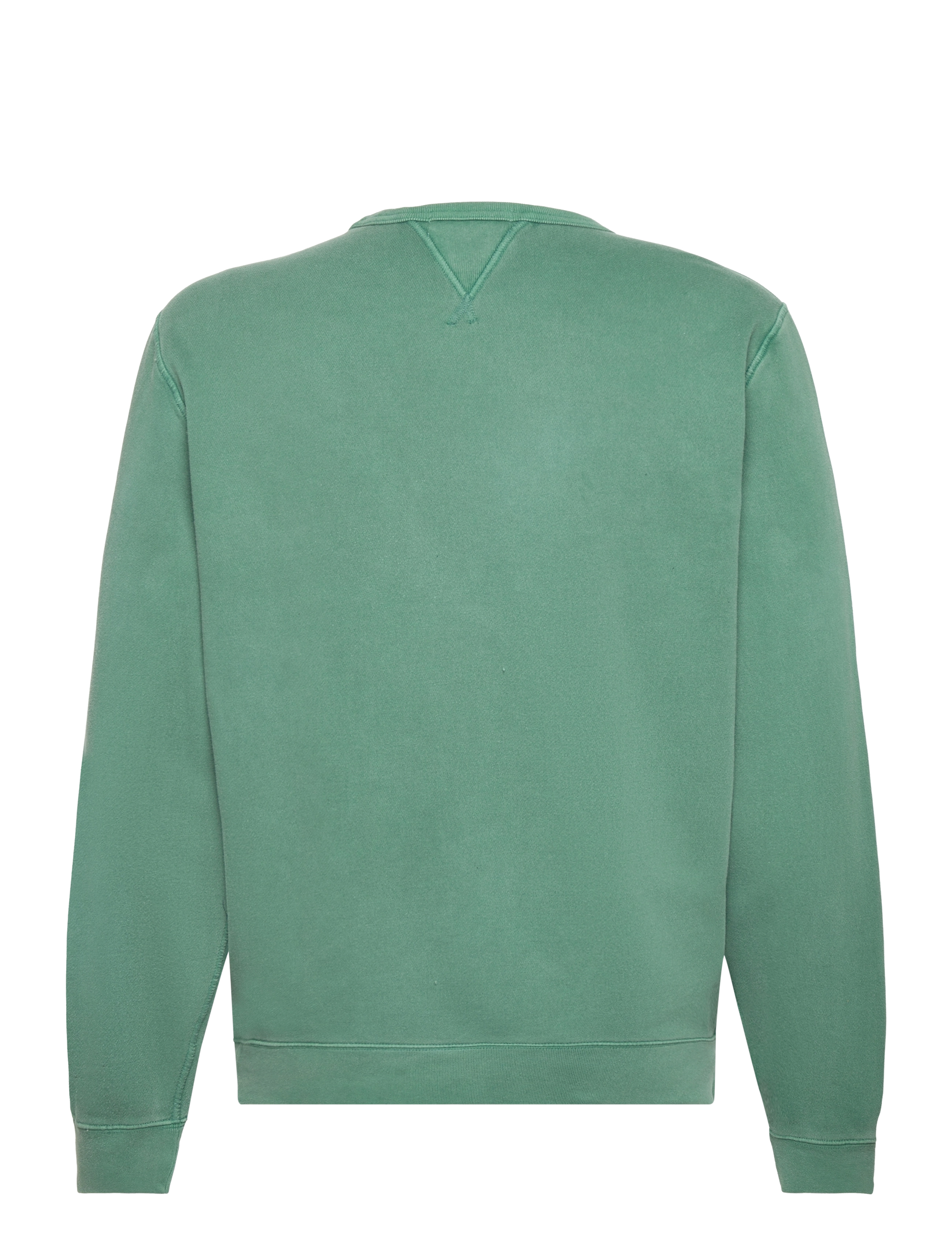 Polo Ralph Lauren - SEASONAL FLEECE-LSL-SWS - washed forest - 1