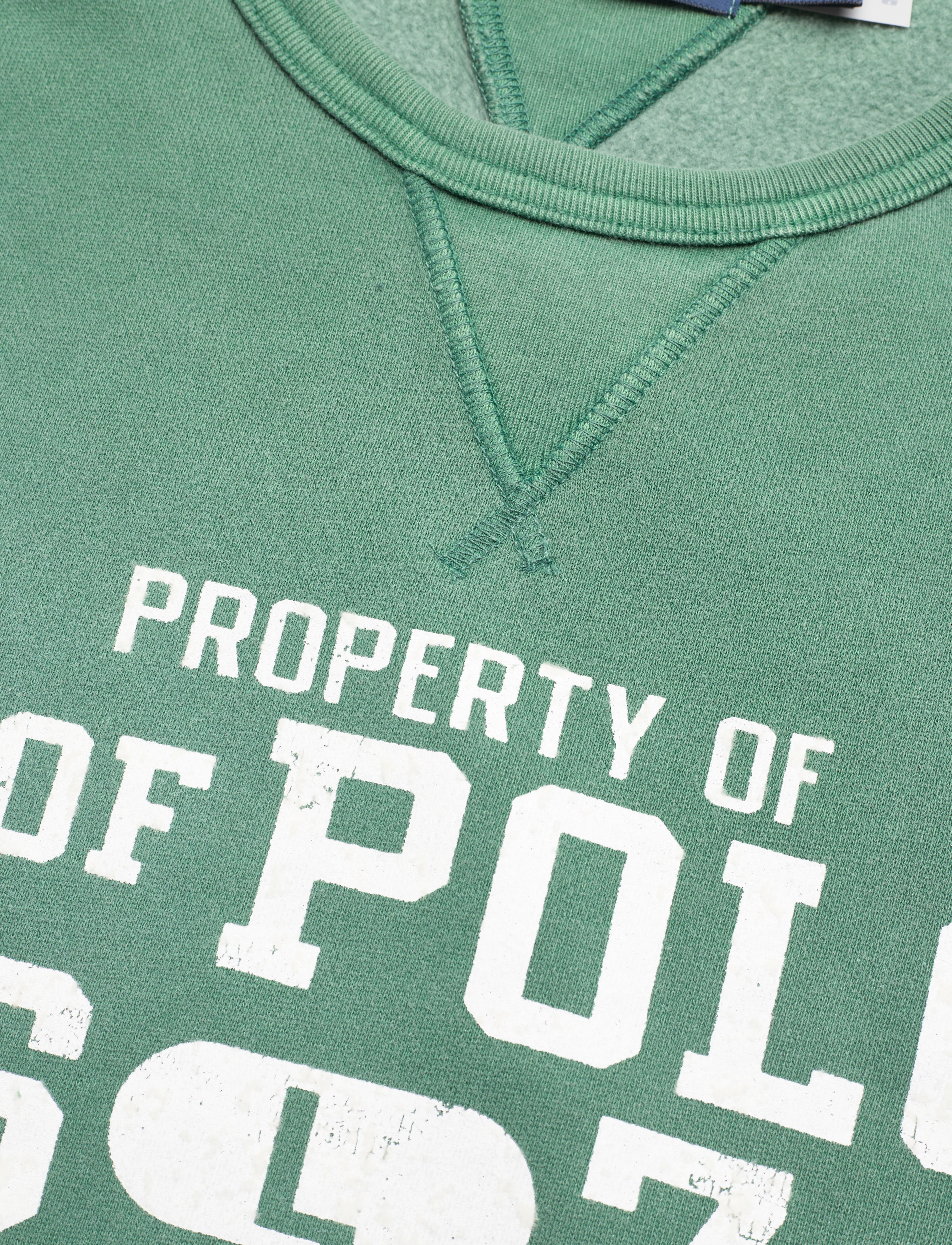 Polo Ralph Lauren - SEASONAL FLEECE-LSL-SWS - washed forest - 3