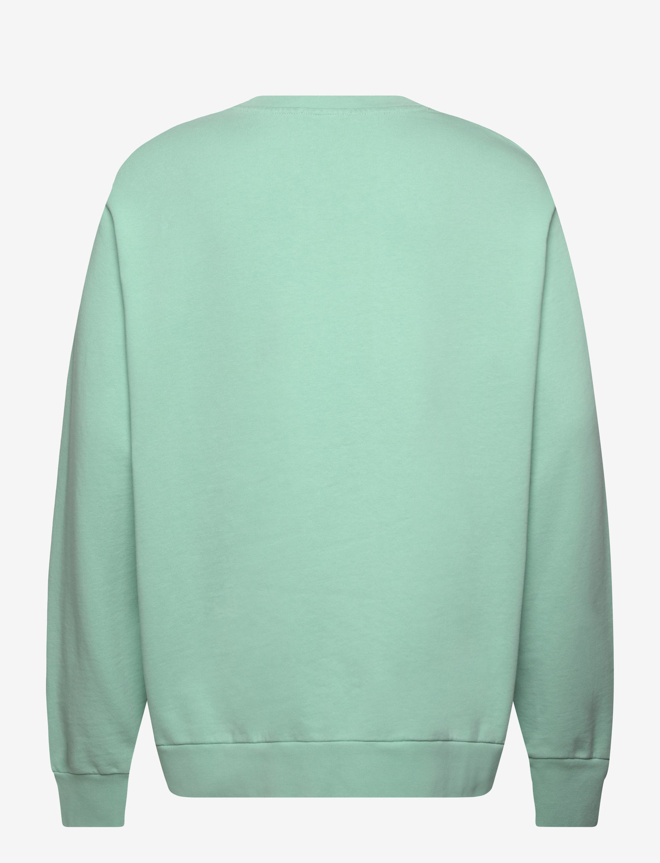 Polo Ralph Lauren - LOOPBACK TERRY-LSL-SWS - shop by occasion - celadon - 1