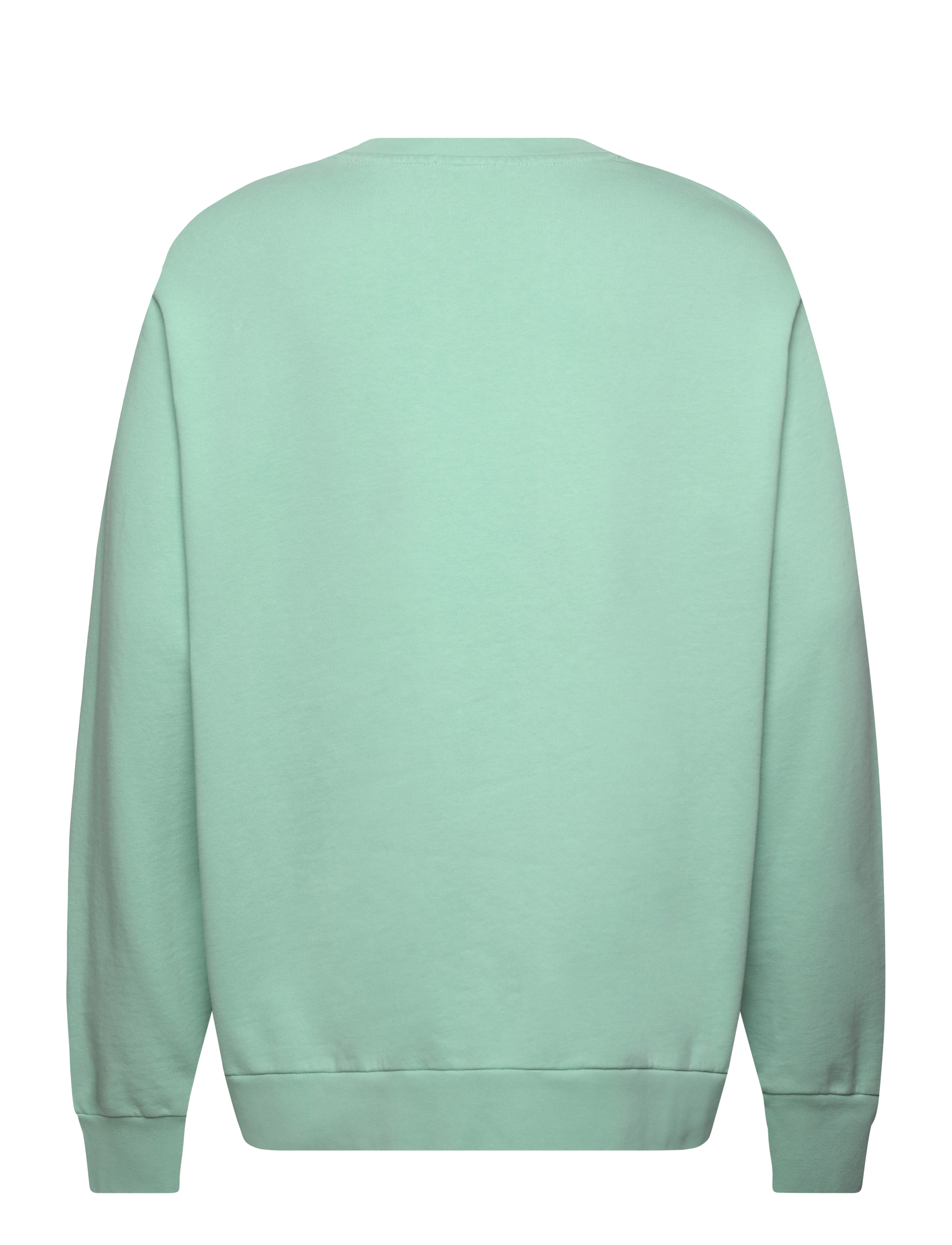 Polo Ralph Lauren - LOOPBACK TERRY-LSL-SWS - shop by occasion - celadon - 2