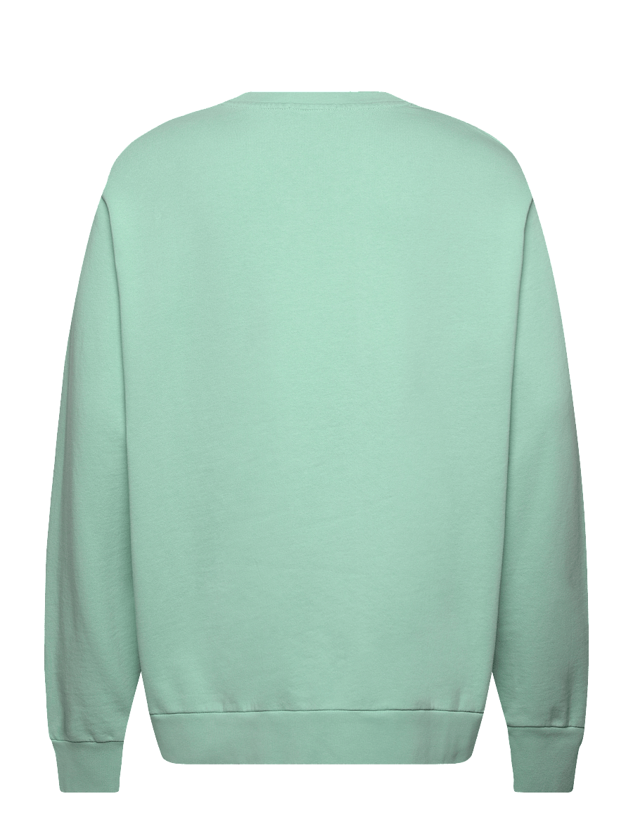Polo Ralph Lauren - Loopback Fleece Sweatshirt - shoppa efter tillfälle - celadon - 2