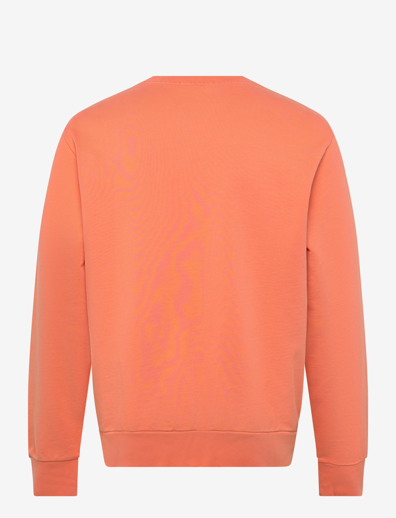 Polo Ralph Lauren - LOOPBACK TERRY-LSL-SWS - nach anlass kaufen - pompano orange - 1