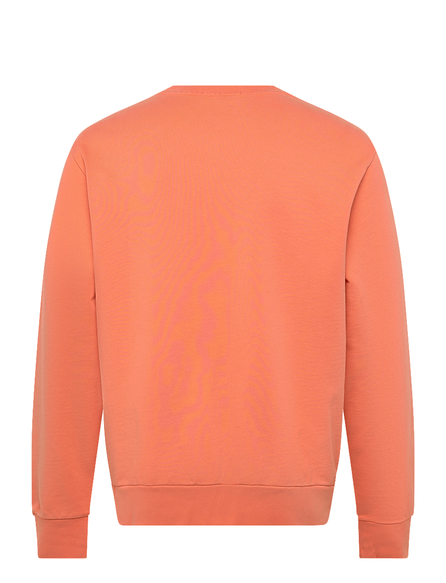 Polo Ralph Lauren - LOOPBACK TERRY-LSL-SWS - shop by occasion - pompano orange - 2