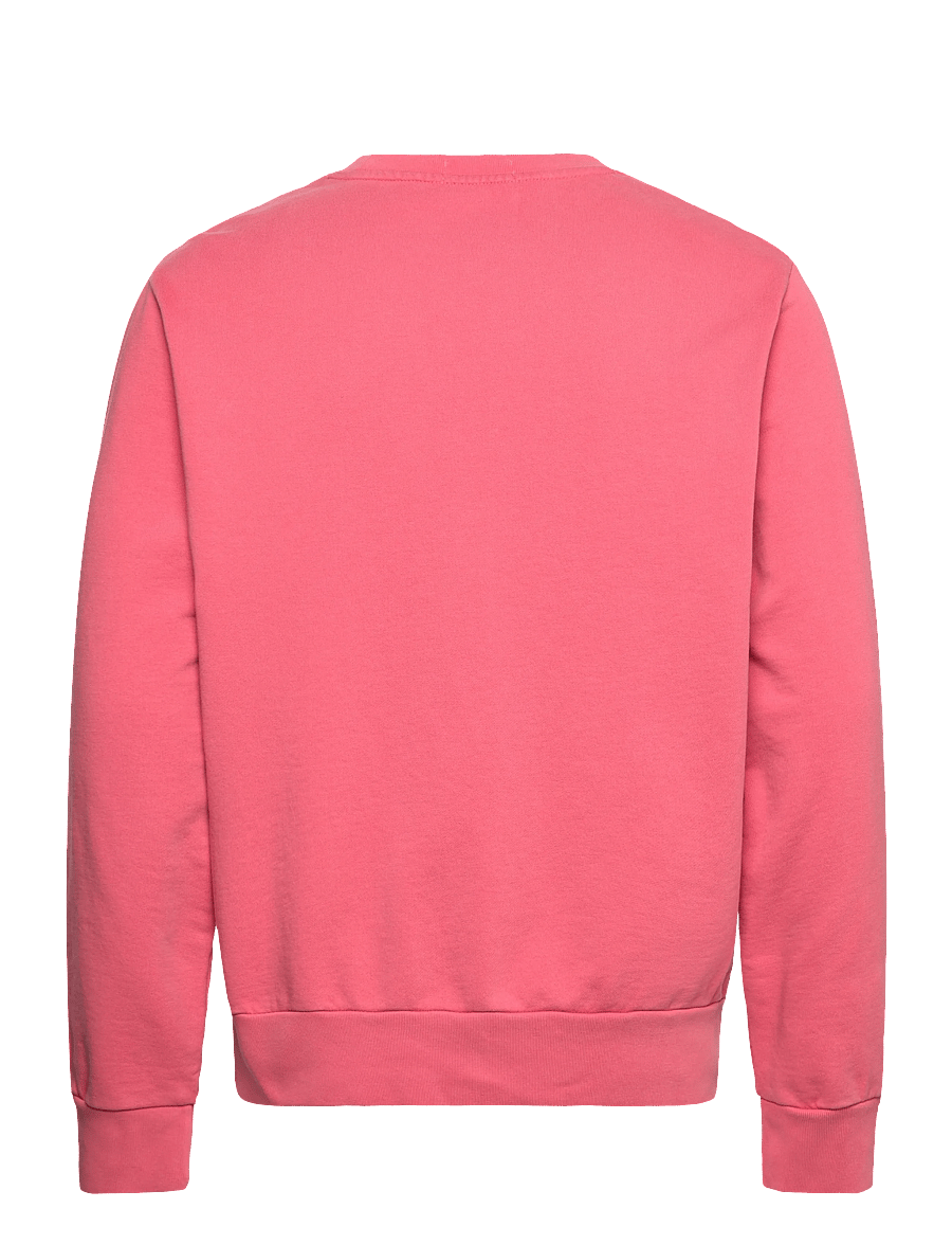 Polo Ralph Lauren - LOOPBACK TERRY-LSL-SWS - shop by occasion - red sky - 2
