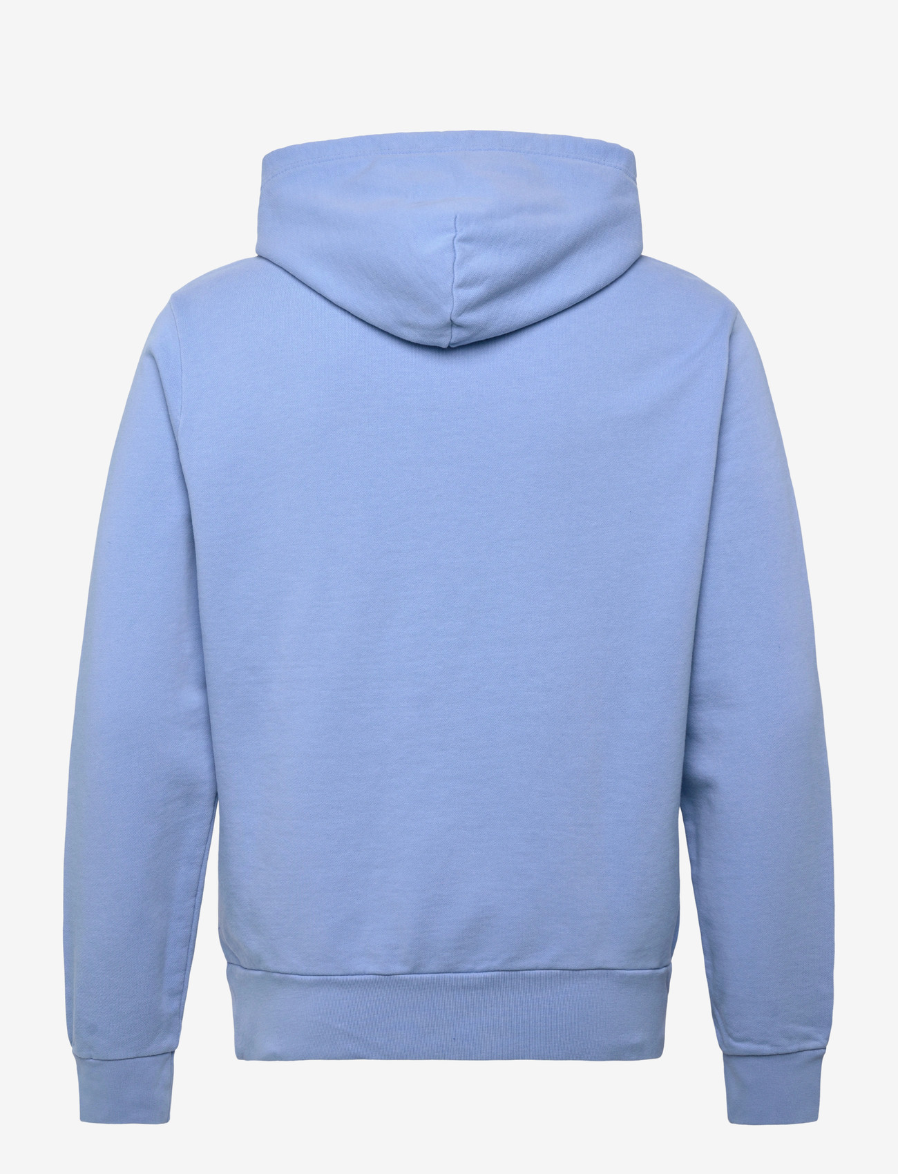 Polo Ralph Lauren - Loopback Fleece Hoodie - hættetrøjer - bristol blue - 2