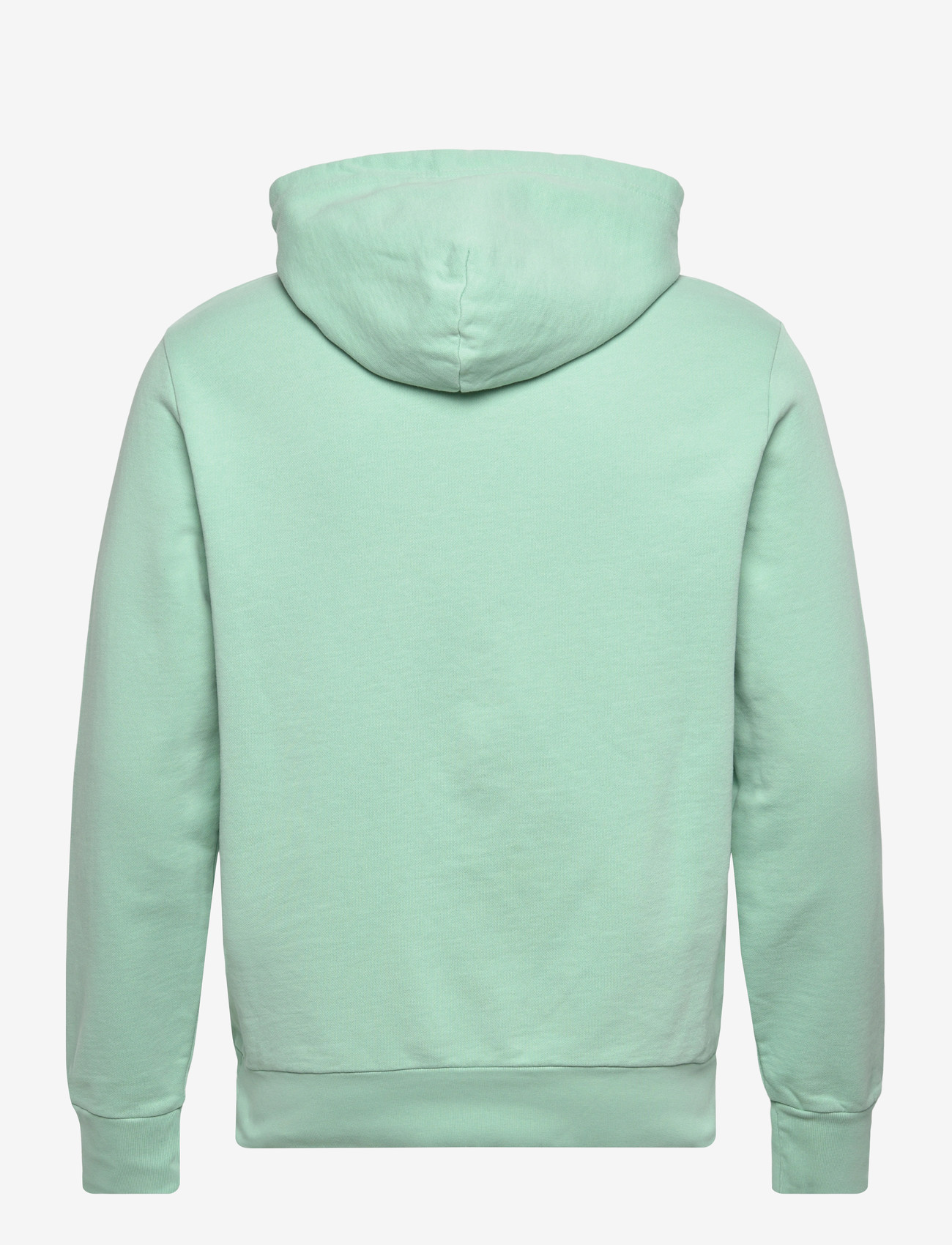 Polo Ralph Lauren - Loopback Fleece Hoodie - hættetrøjer - celadon - 1