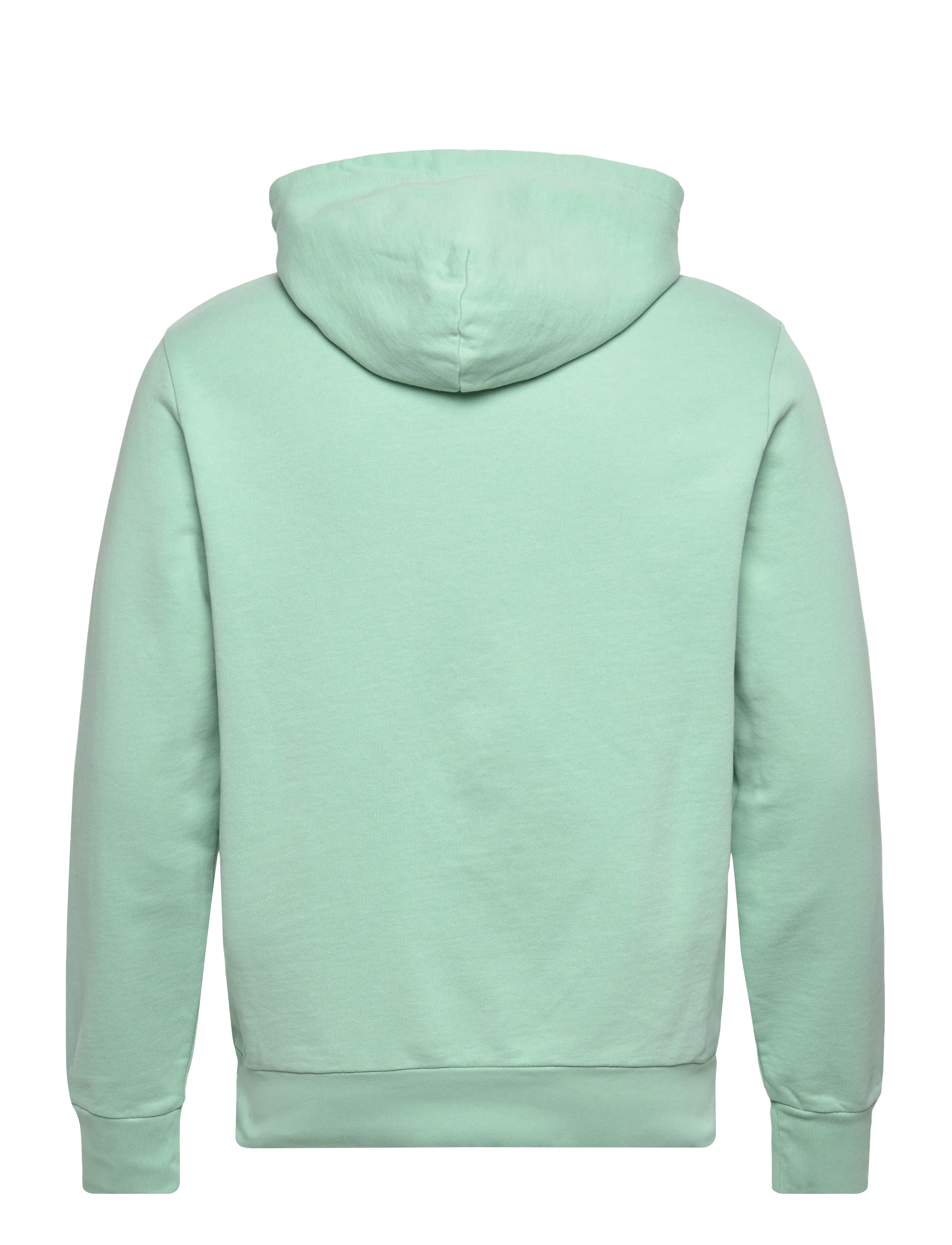 Polo Ralph Lauren - LOOPBACK TERRY-LSL-SWS - hoodies - celadon - 2