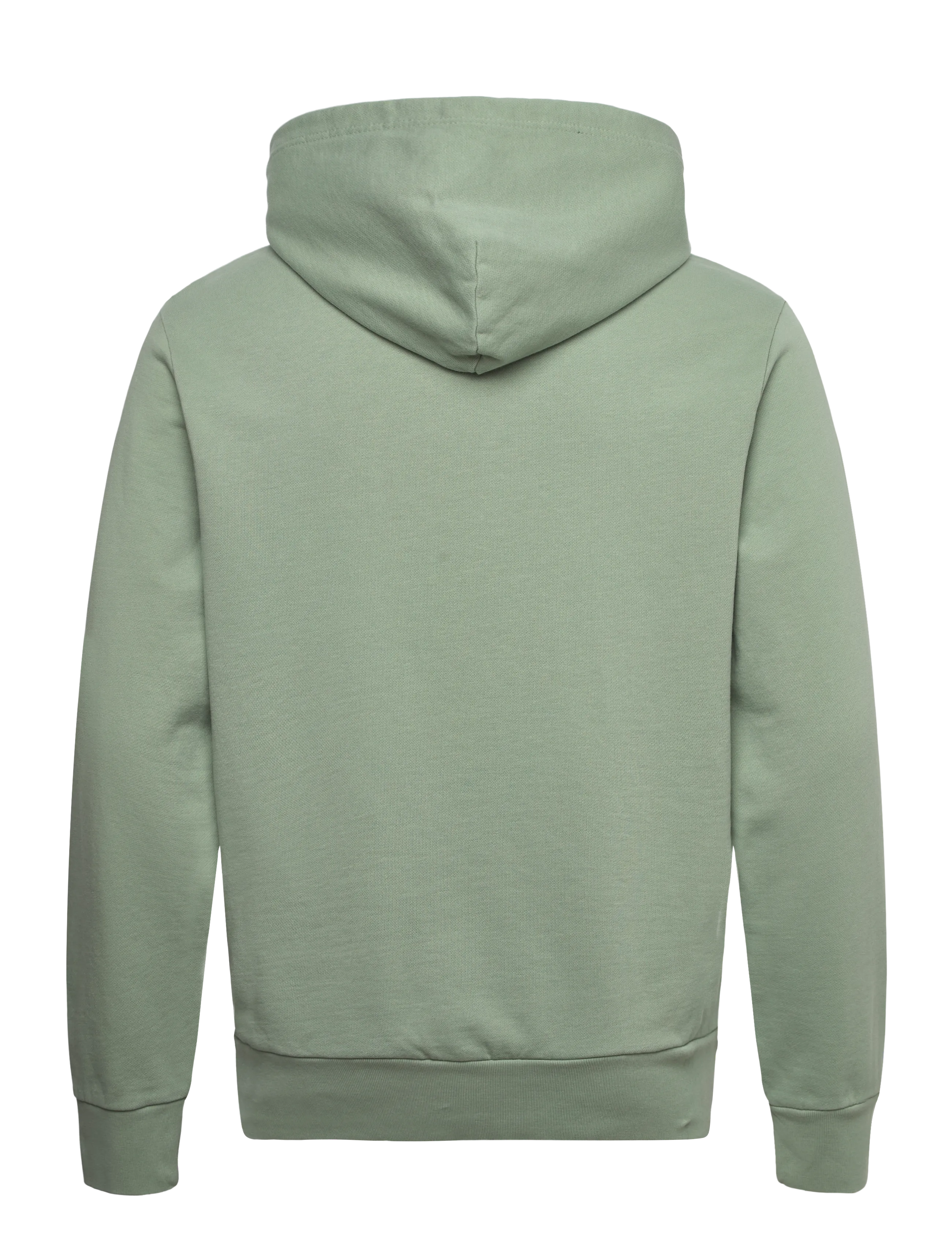 Polo Ralph Lauren - Loopback Fleece Hoodie - hættetrøjer - light green - 1