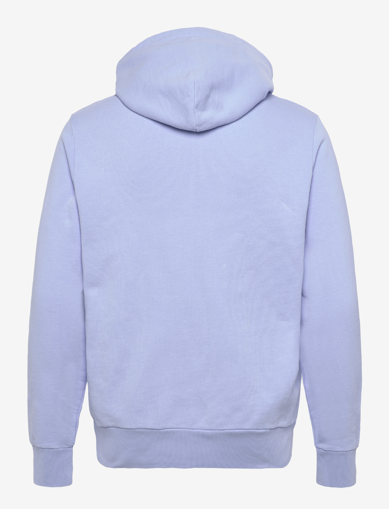 Polo Ralph Lauren - Loopback Fleece Hoodie - kapuzenpullover - pebble blue - 1
