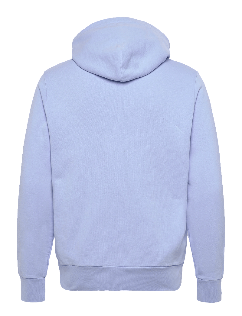 Polo Ralph Lauren - Loopback Fleece Hoodie - kapuzenpullover - pebble blue - 1