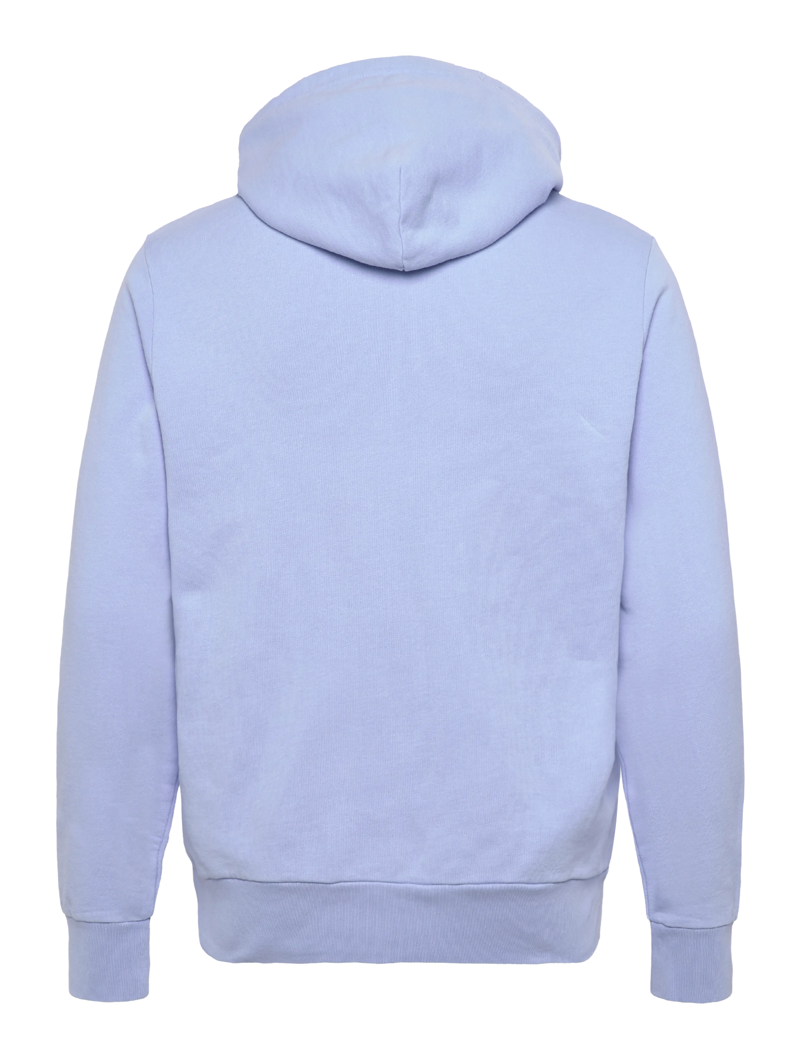 Polo Ralph Lauren - LOOPBACK TERRY-LSL-SWS - bluzy z kapturem - pebble blue - 1