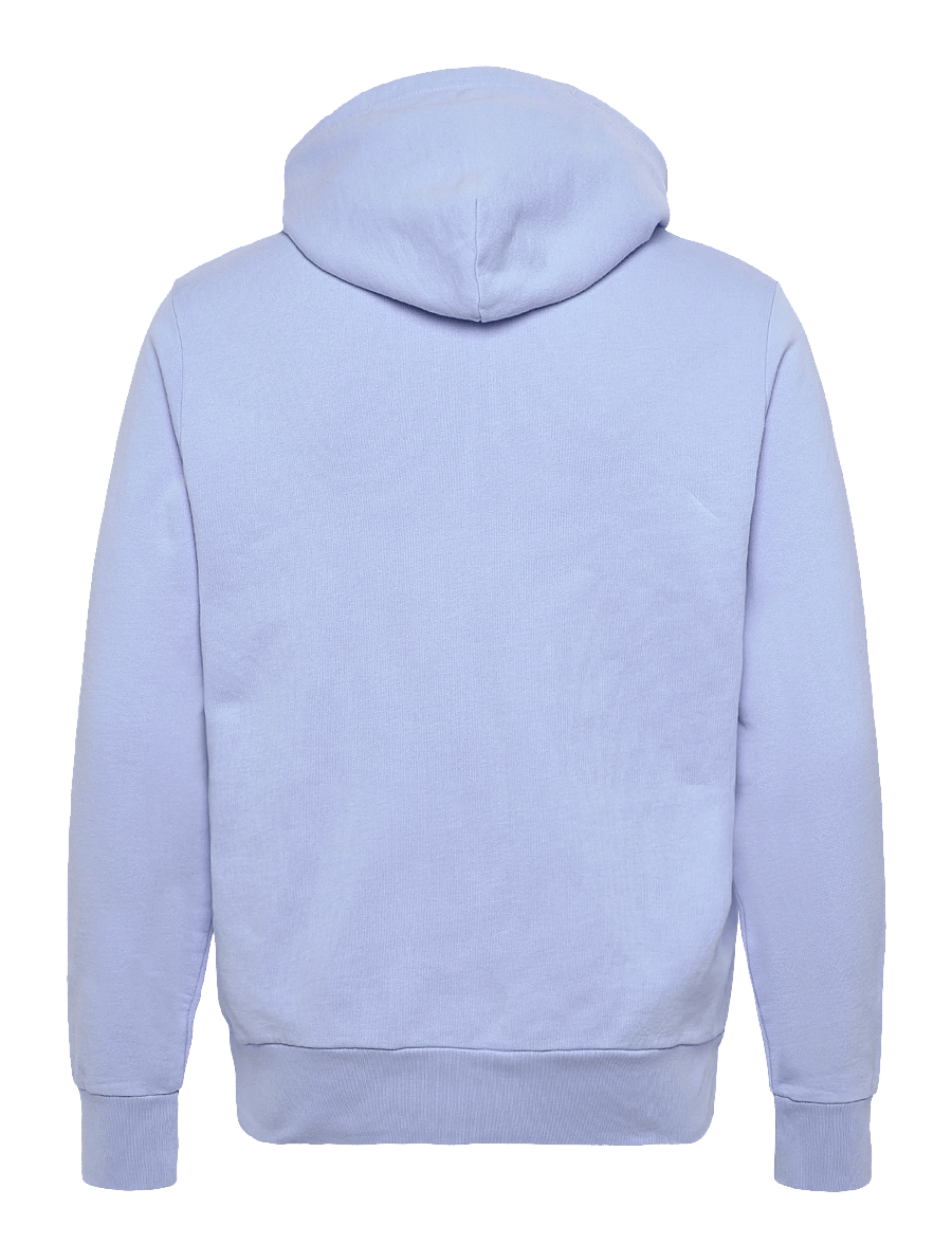 Polo Ralph Lauren - LOOPBACK TERRY-LSL-SWS - bluzy z kapturem - pebble blue - 1