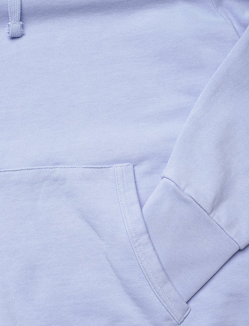 Polo Ralph Lauren - Loopback Fleece Hoodie - kapuzenpullover - pebble blue - 3