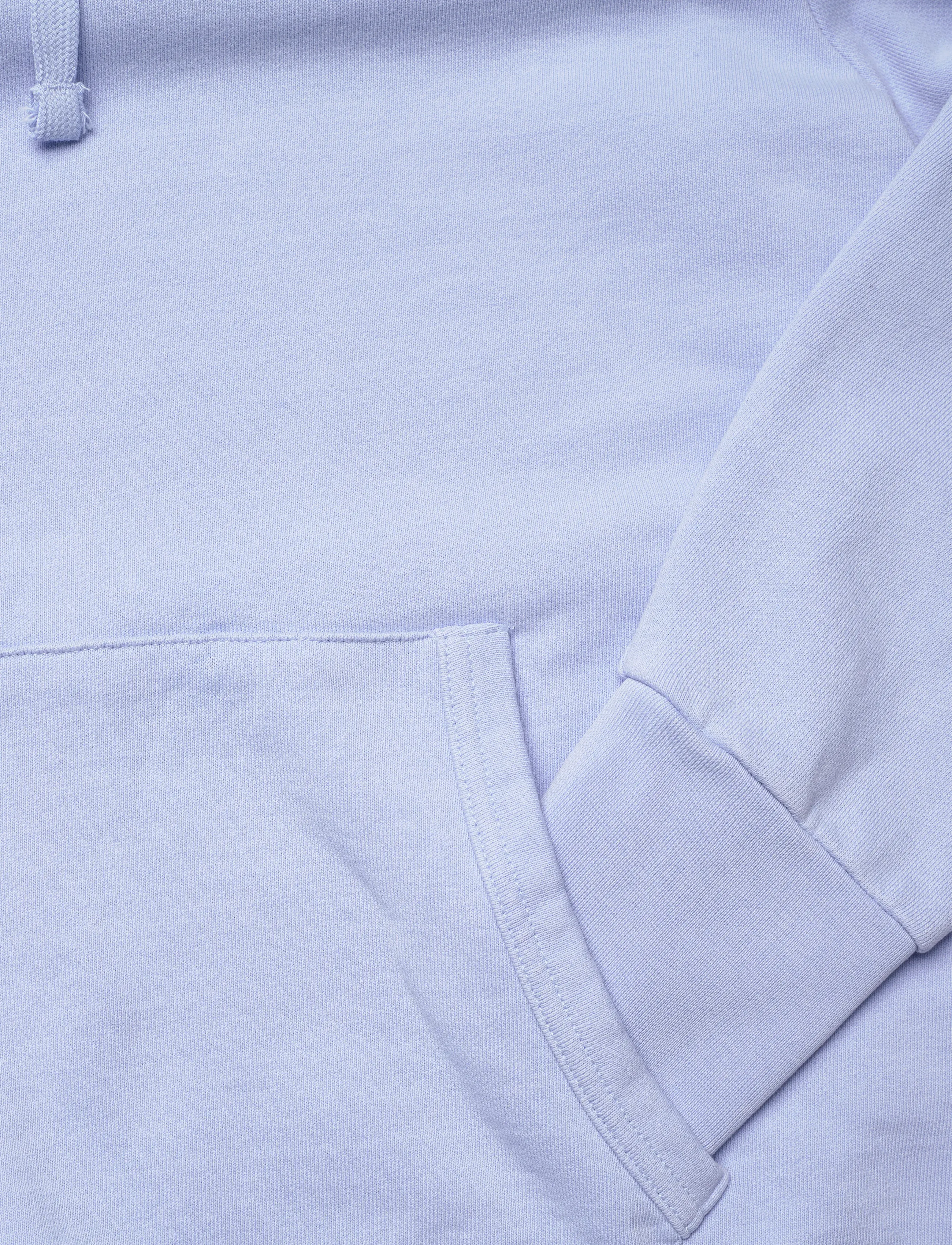 Polo Ralph Lauren - LOOPBACK TERRY-LSL-SWS - bluzy z kapturem - pebble blue - 3