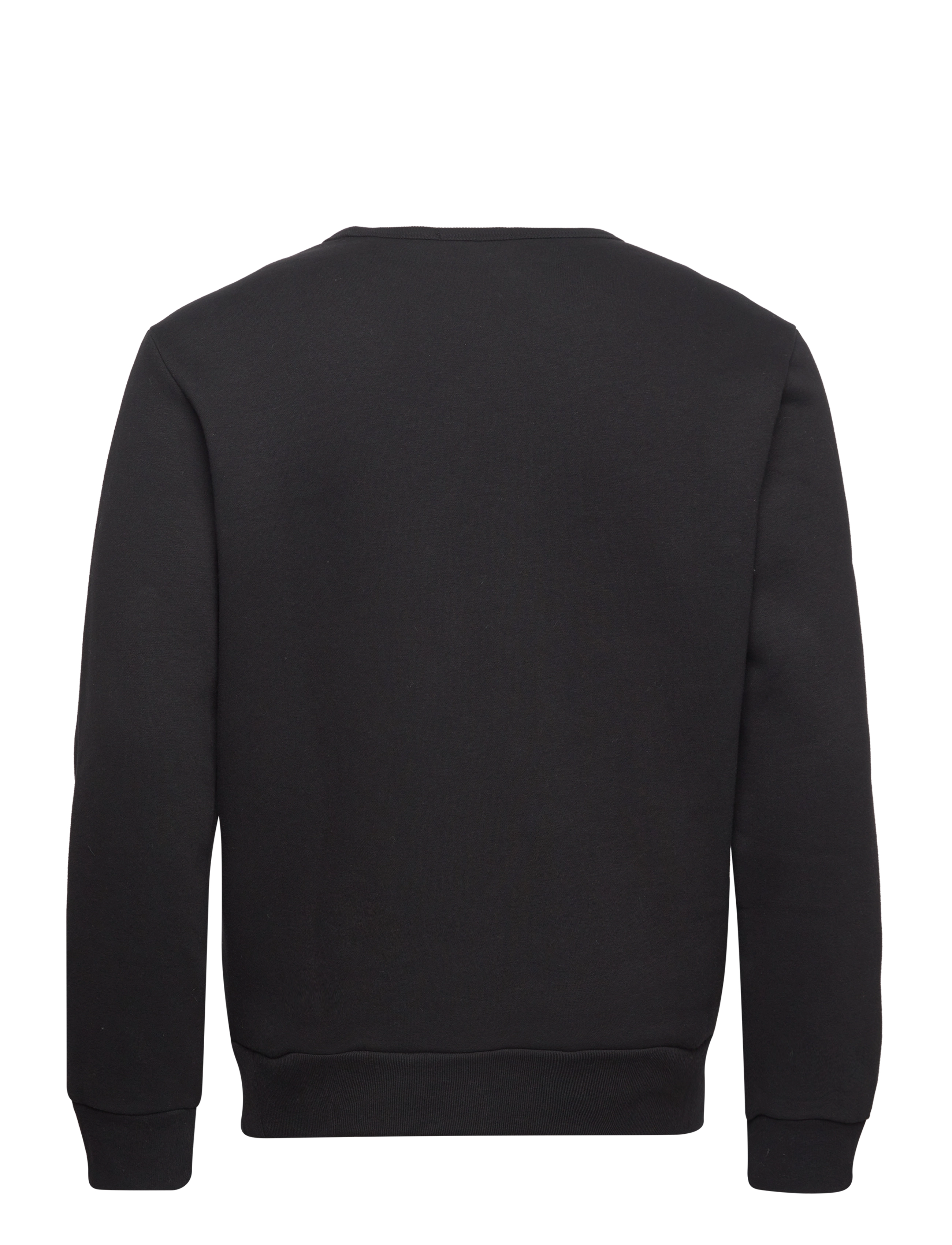 Polo Ralph Lauren - HEAVYWT MAGIC FLC-LSL-SWS - polo black - 1