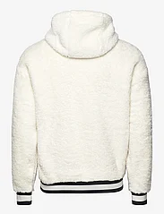 Polo Ralph Lauren - Logo Pile Fleece Hoodie - megztiniai ir džemperiai - clubhouse cream - 1