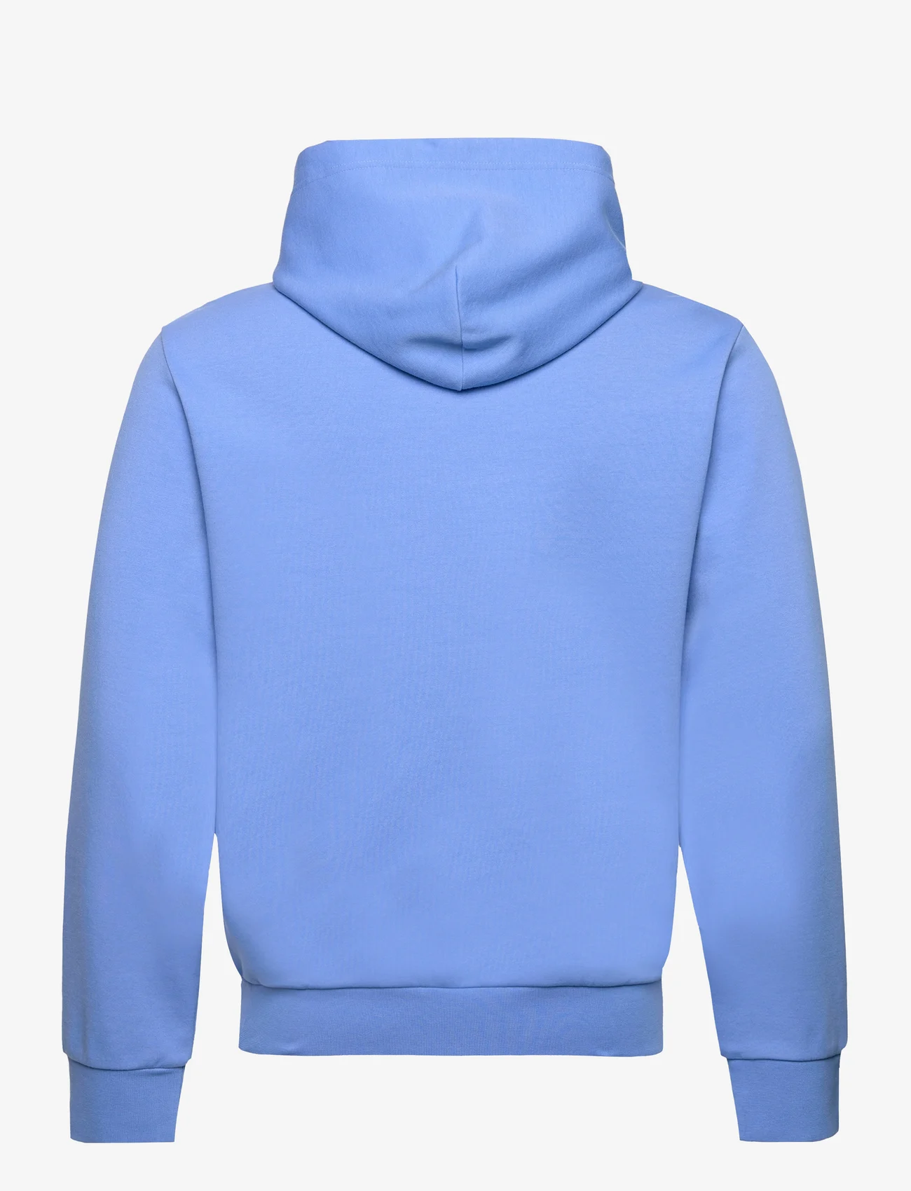 Polo Ralph Lauren - Logo Double-Knit Hoodie - džemperiai su gobtuvu - riviera blue - 1